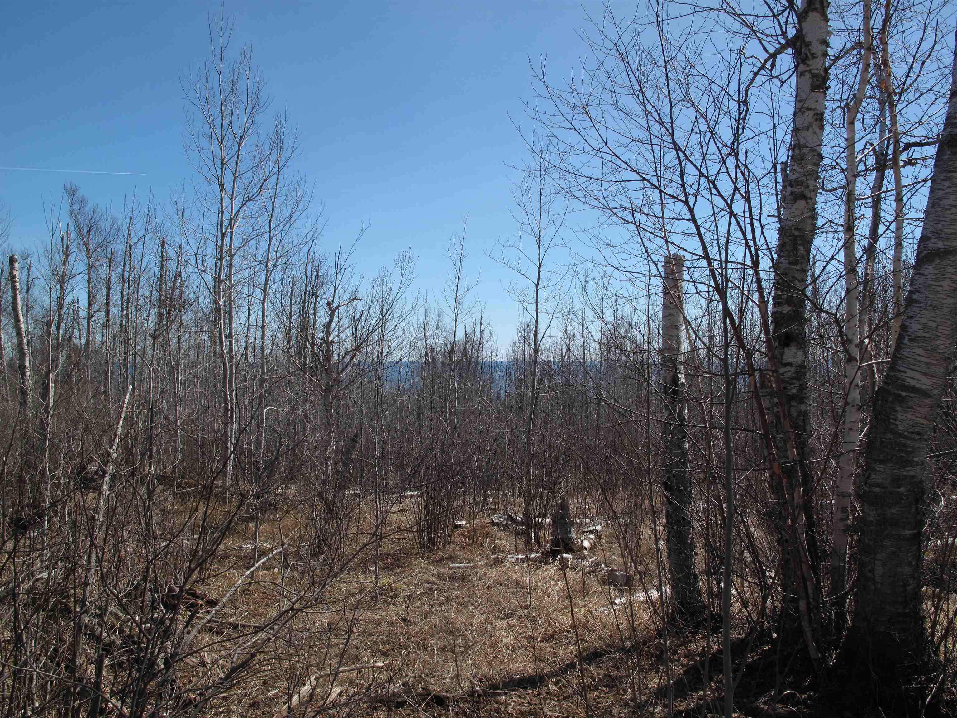 9223 Hwy 61 W Schroeder MN 55613 6119000 image43