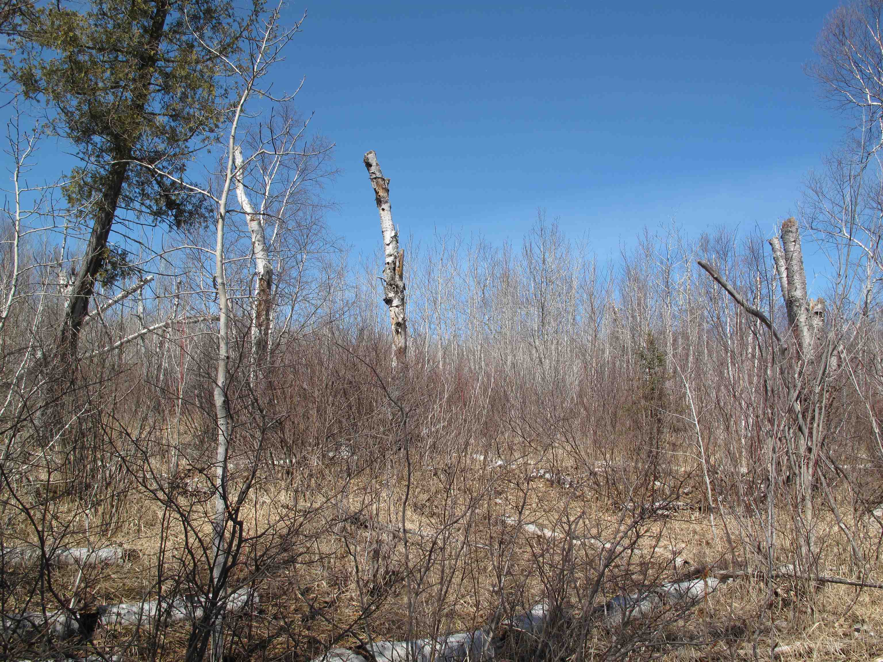 9223 Hwy 61 W Schroeder MN 55613 6119000 image45