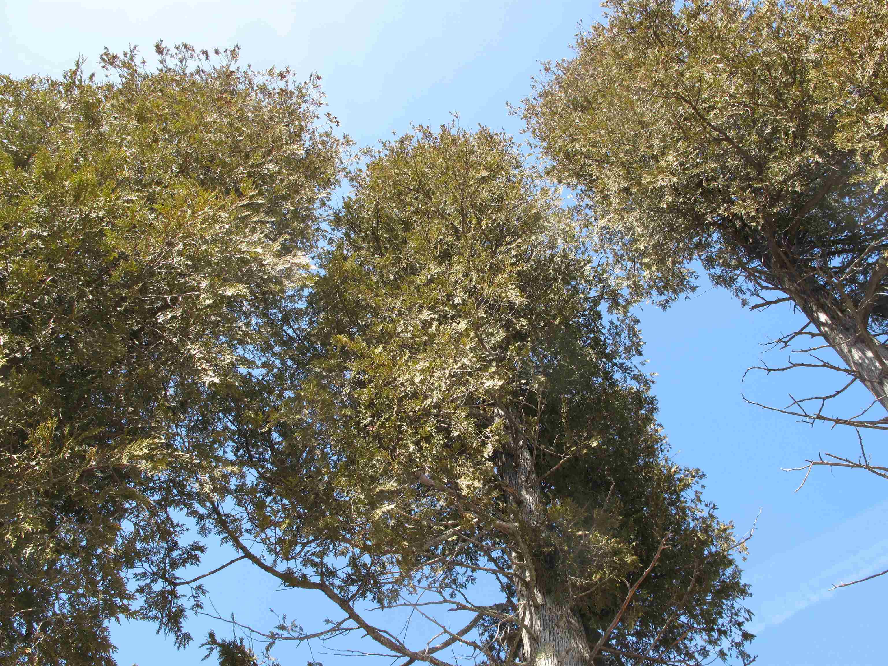 9223 Hwy 61 W Schroeder MN 55613 6119000 image48