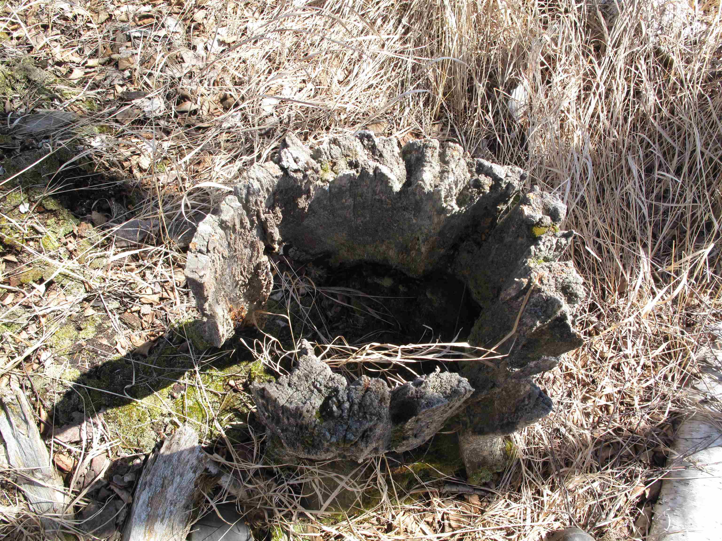 9223 Hwy 61 W Schroeder MN 55613 6119000 image49