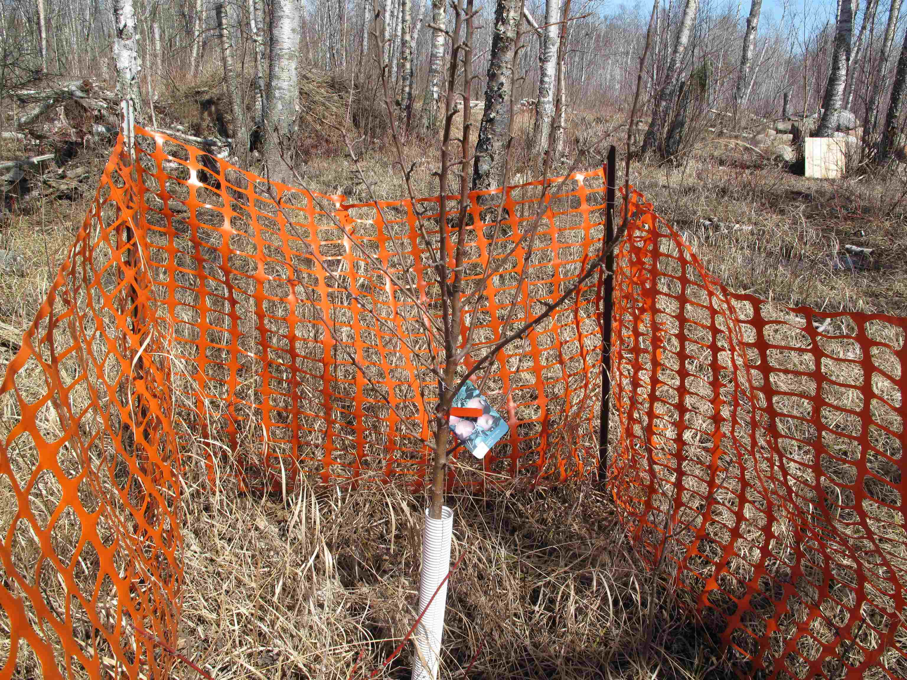 9223 Hwy 61 W Schroeder MN 55613 6119000 image53