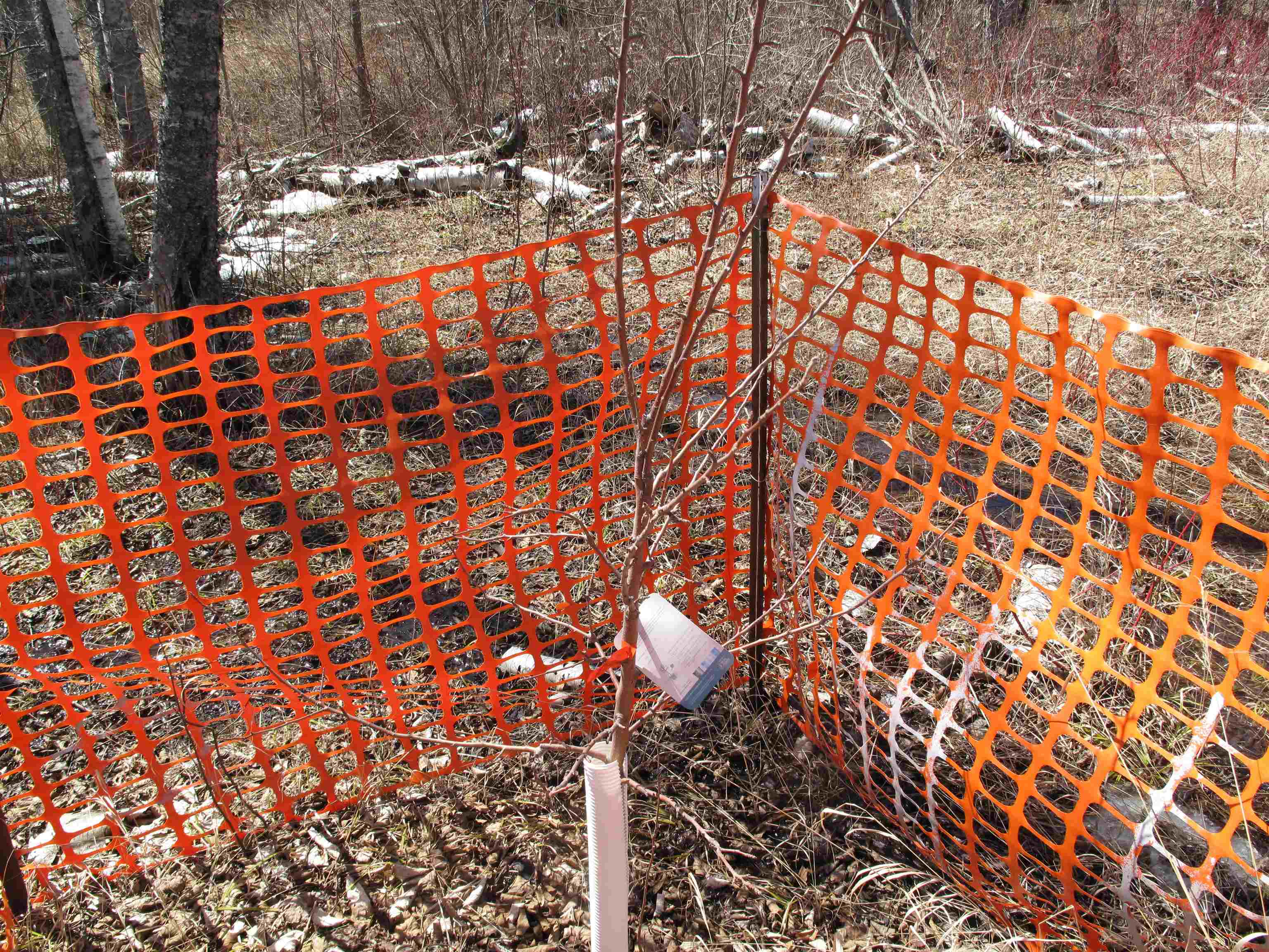 9223 Hwy 61 W Schroeder MN 55613 6119000 image54