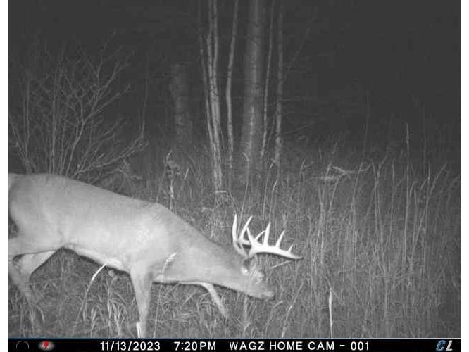 9223 Hwy 61 W Schroeder MN 55613 6119000 image56