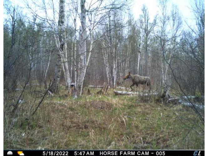 9223 Hwy 61 W Schroeder MN 55613 6119000 image57