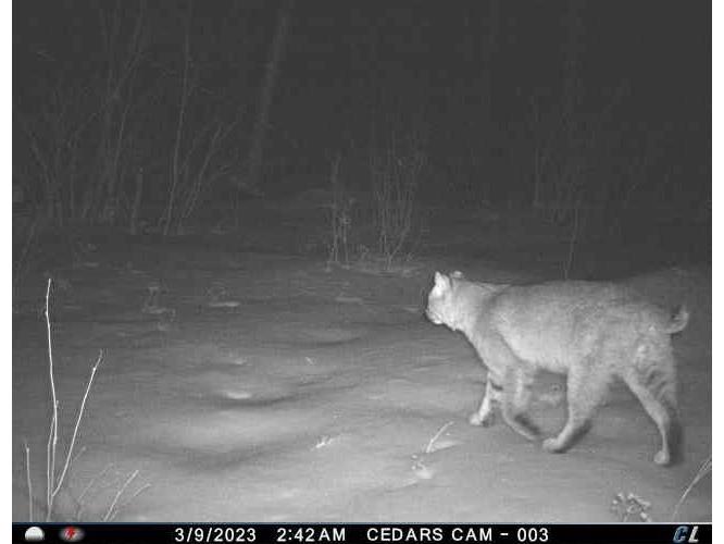 9223 Hwy 61 W Schroeder MN 55613 6119000 image58