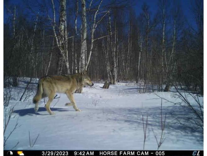 9223 Hwy 61 W Schroeder MN 55613 6119000 image59