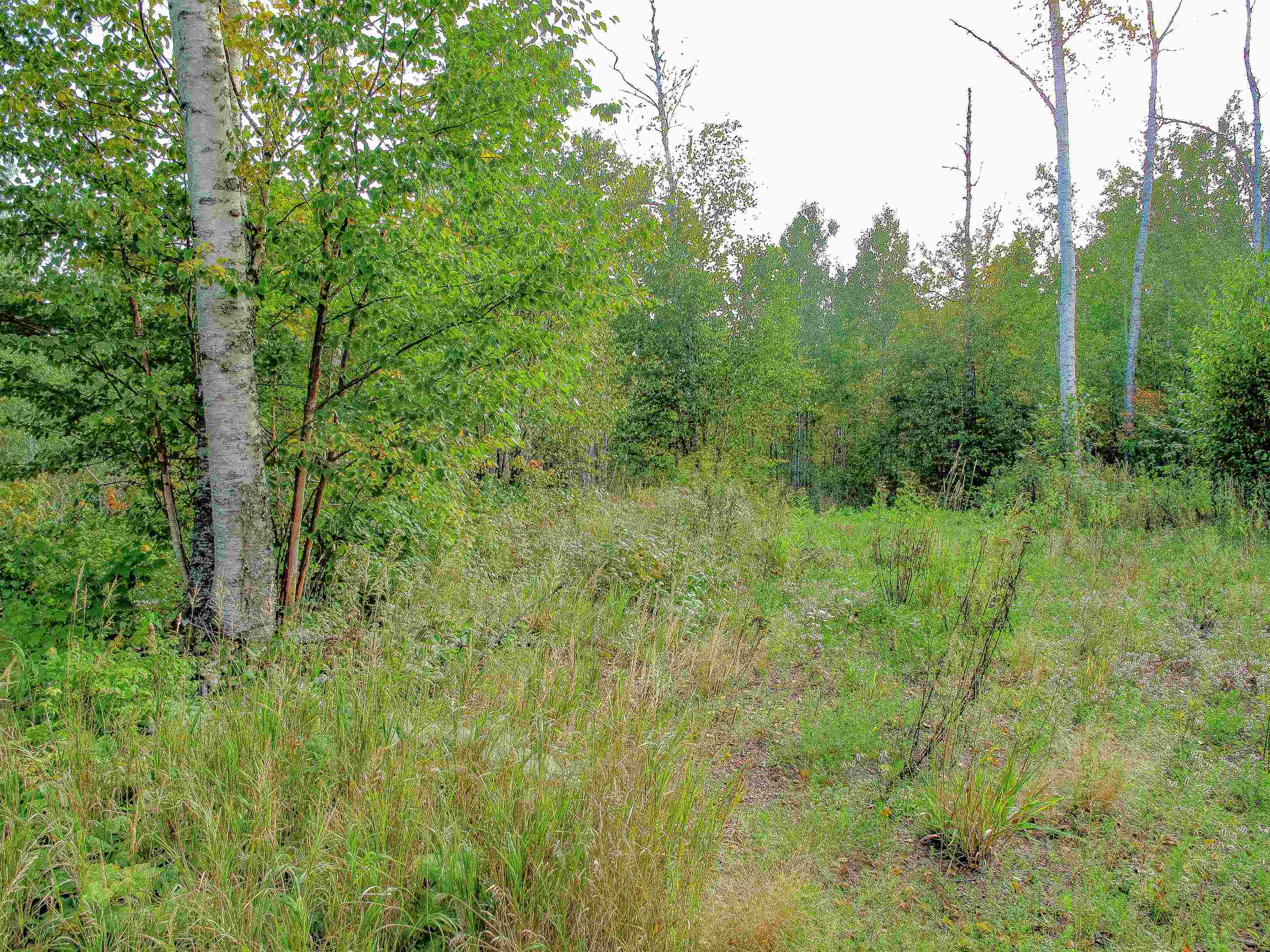 9223 Hwy 61 W Schroeder MN 55613 6119000 image6