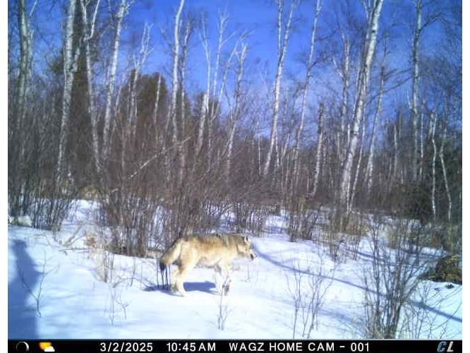 9223 Hwy 61 W Schroeder MN 55613 6119000 image61