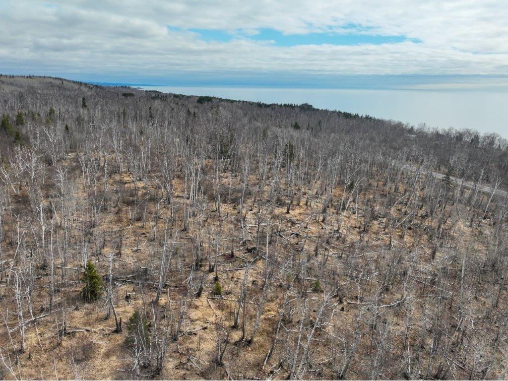 9223 Hwy 61 W Schroeder MN 55613 6119000 image63