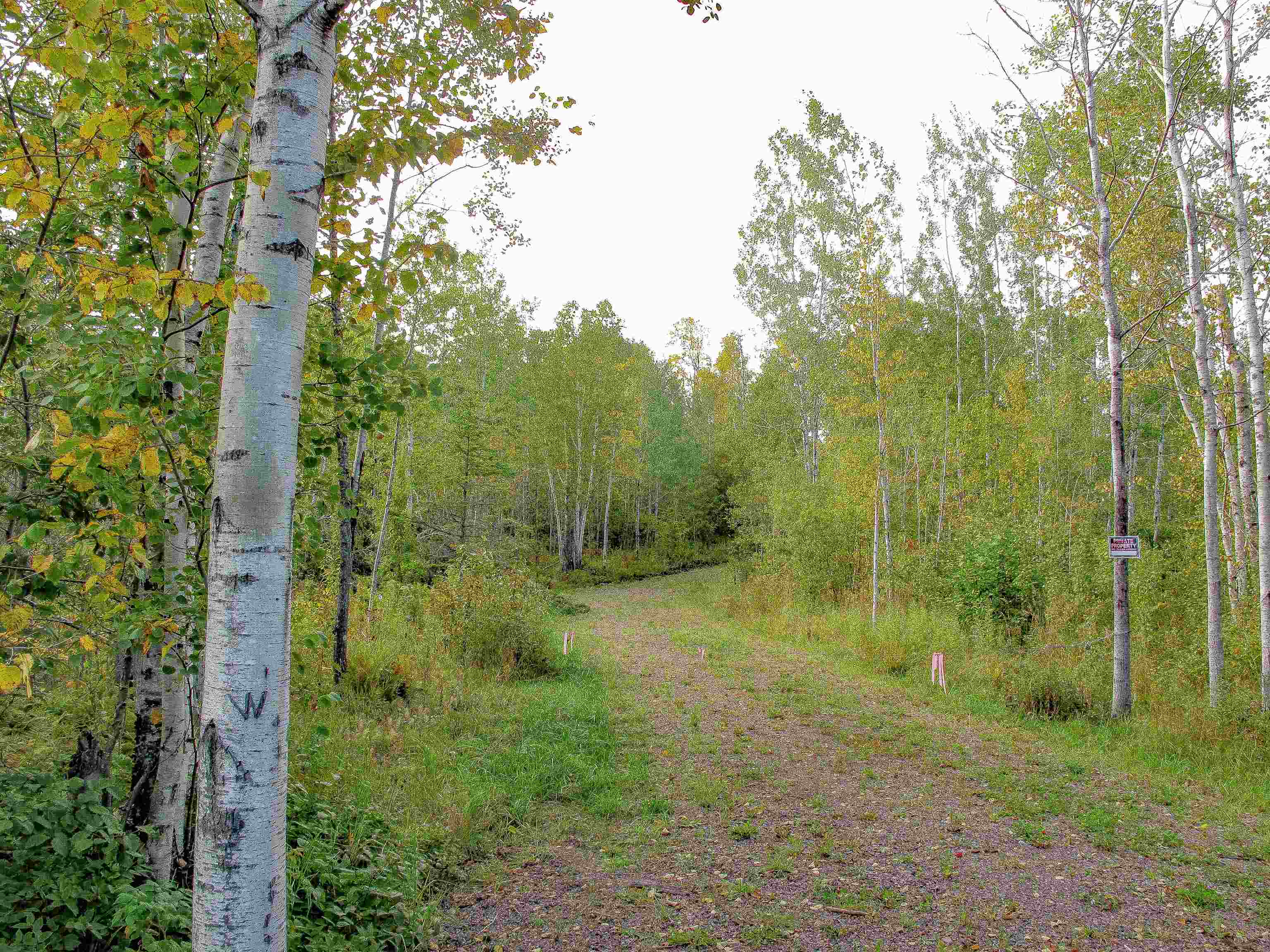 9223 Hwy 61 W Schroeder MN 55613 6119000 image8