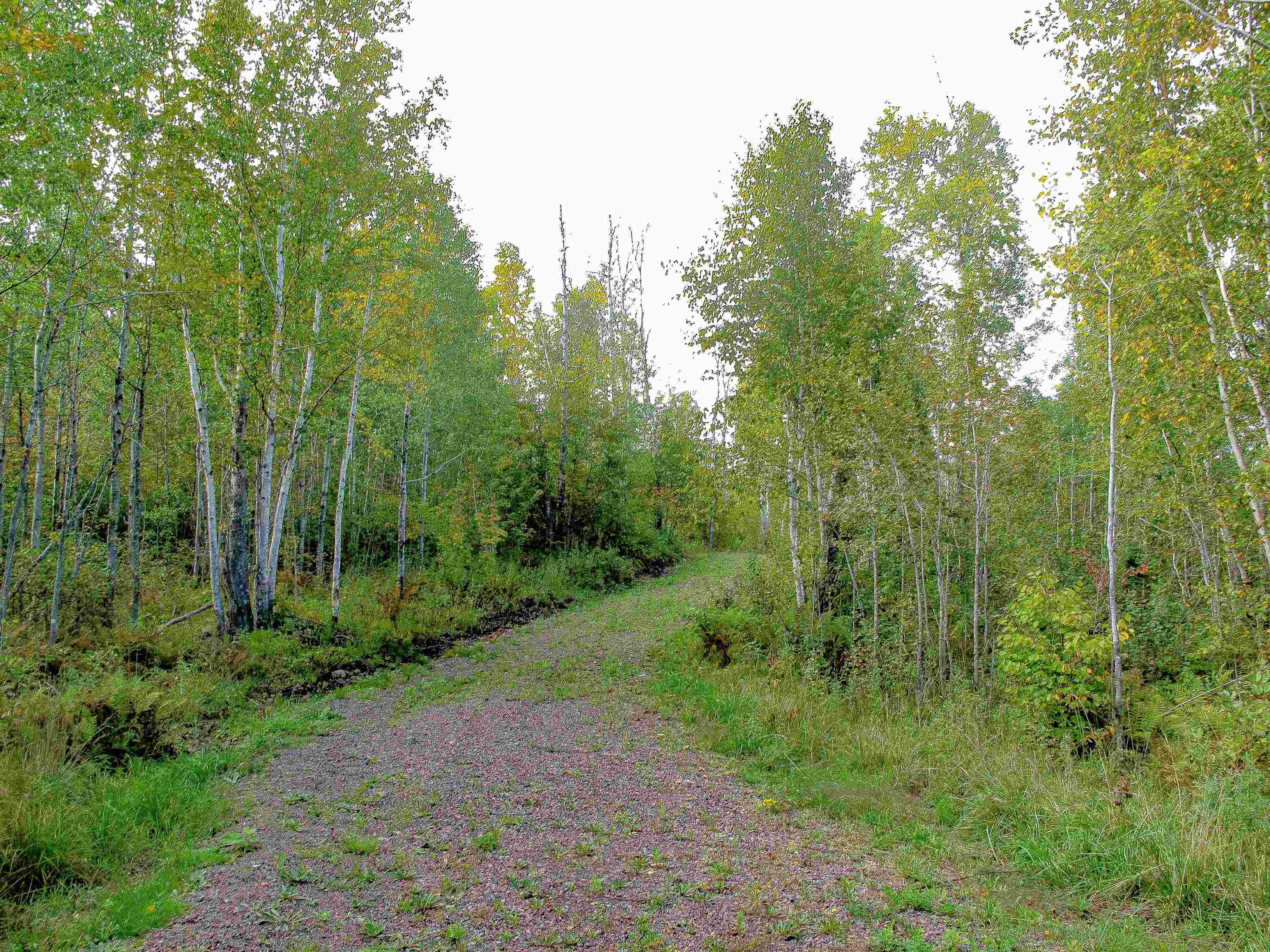 9223 Hwy 61 W Schroeder MN 55613 6119000 image9