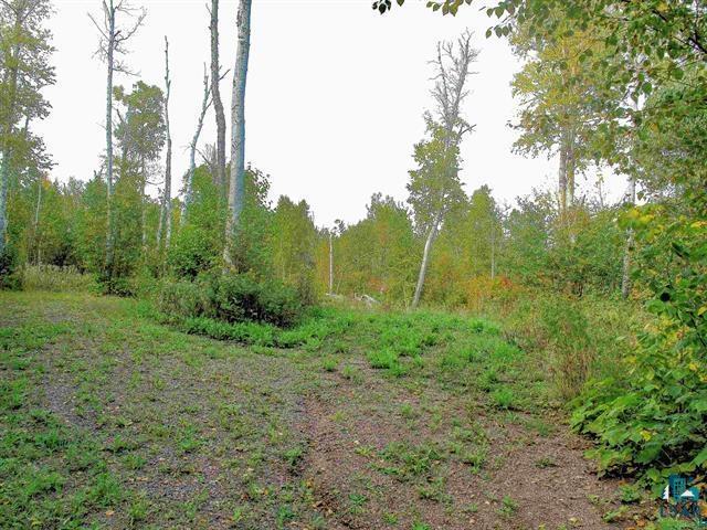 9223 Hwy 61 W Schroeder MN 55613 6125756 image12