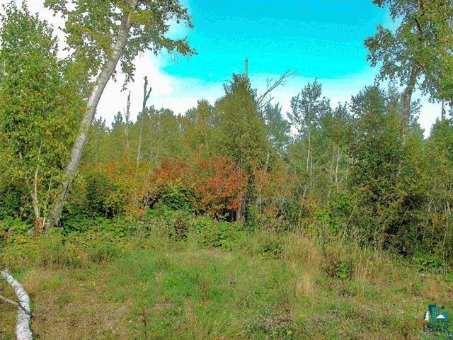 9223 Hwy 61 W Schroeder MN 55613 6125756 image13
