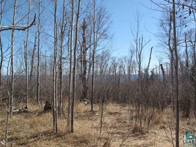 9223 Hwy 61 W Schroeder MN 55613 6125756 image15