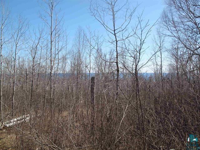 9223 Hwy 61 W Schroeder MN 55613 6125756 image17