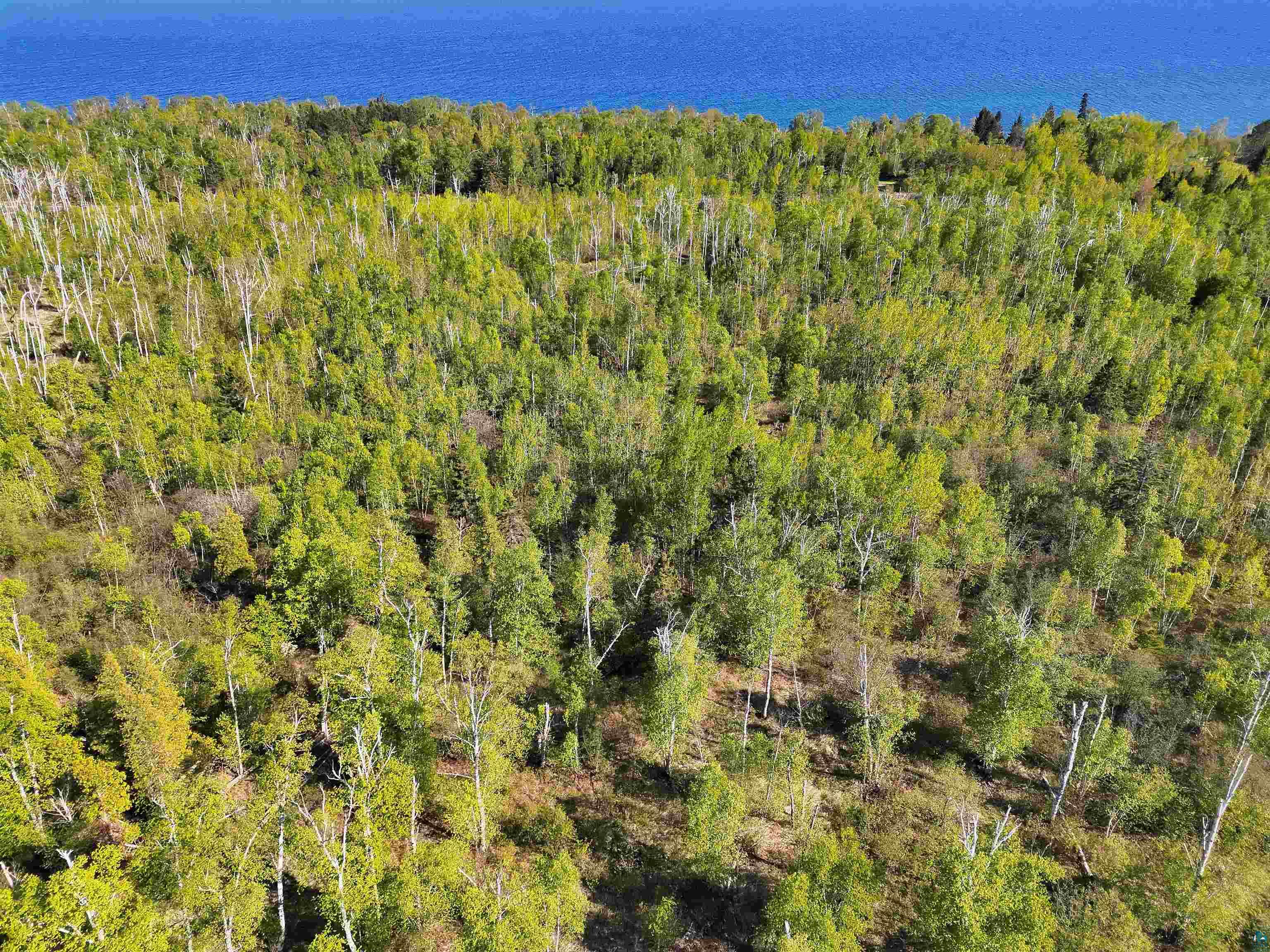 9223 Hwy 61 W Schroeder MN 55613 6125756 image3