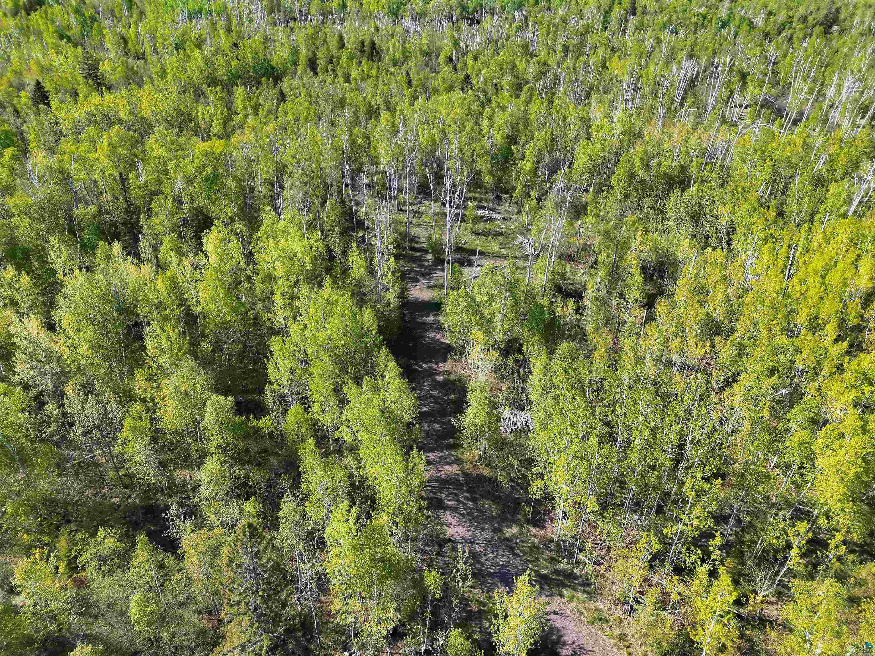 9223 Hwy 61 W Schroeder MN 55613 6125756 image4