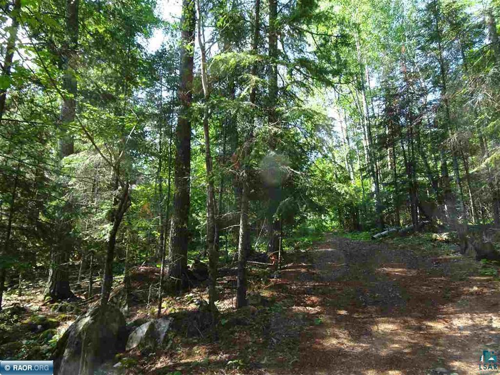 9245 Burris Dr Cook MN 55723 - Elbow Lake 6123918 image23