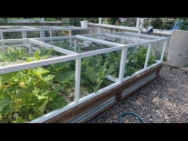 925 14th St Cloquet MN 55720 6123033 image52