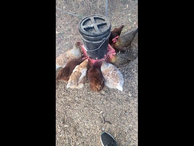 925 14th St Cloquet MN 55720 6123033 image55