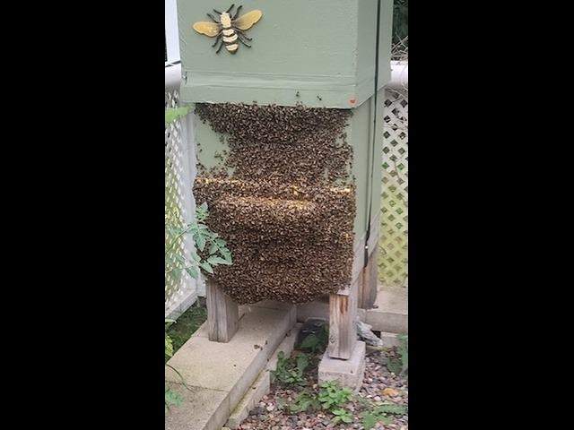 925 14th St Cloquet MN 55720 6123033 image57