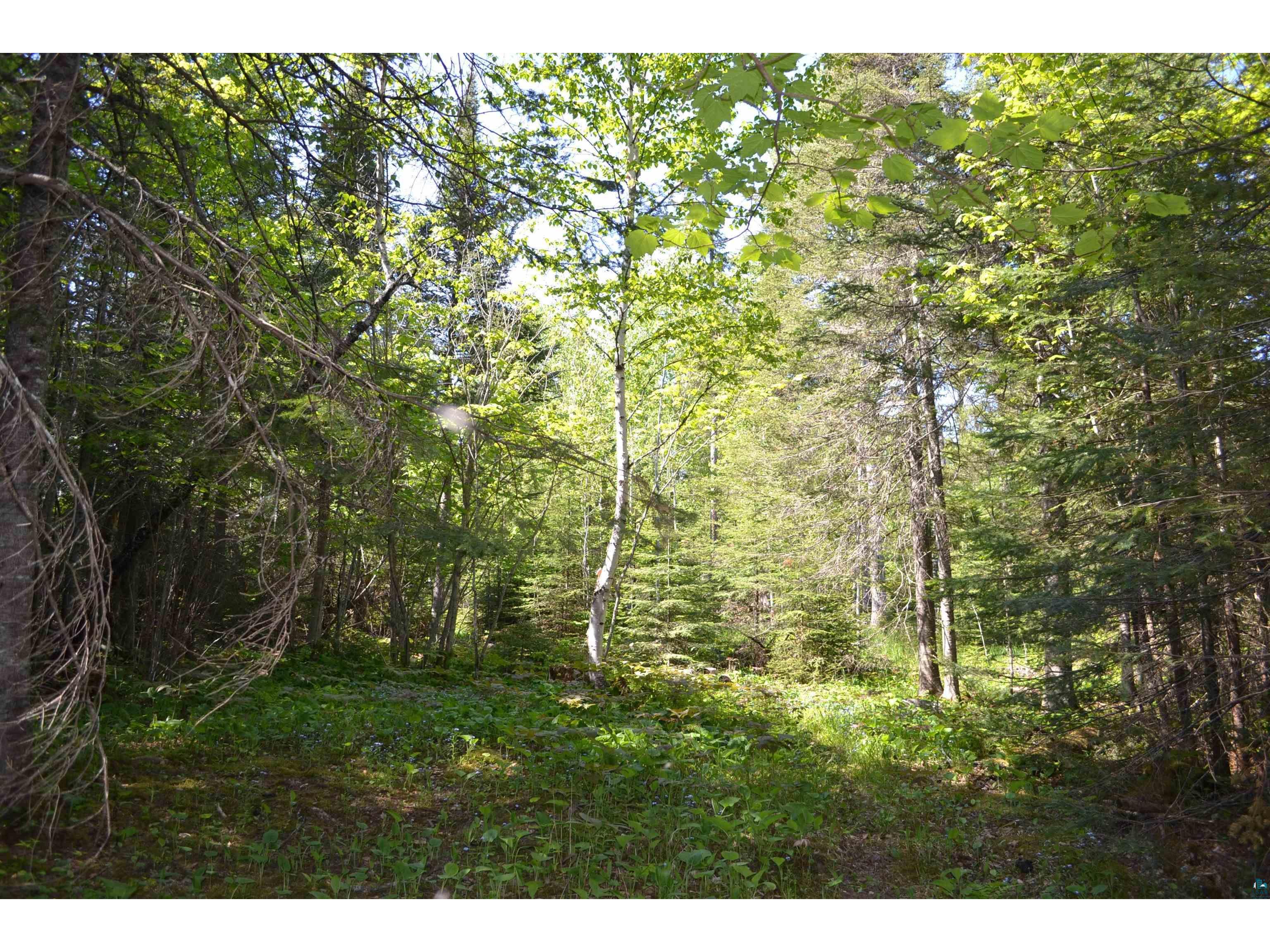 92x 5th St E Grand Marais MN 55604 6107788 image1