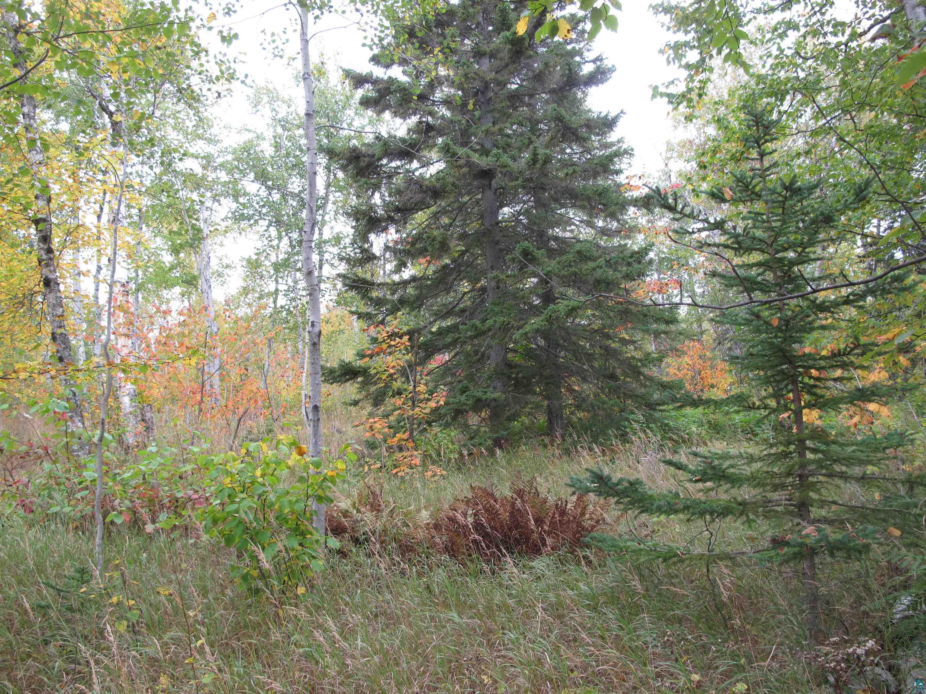 92xx W Highway 61 Schroeder MN 55613 6111096 image1