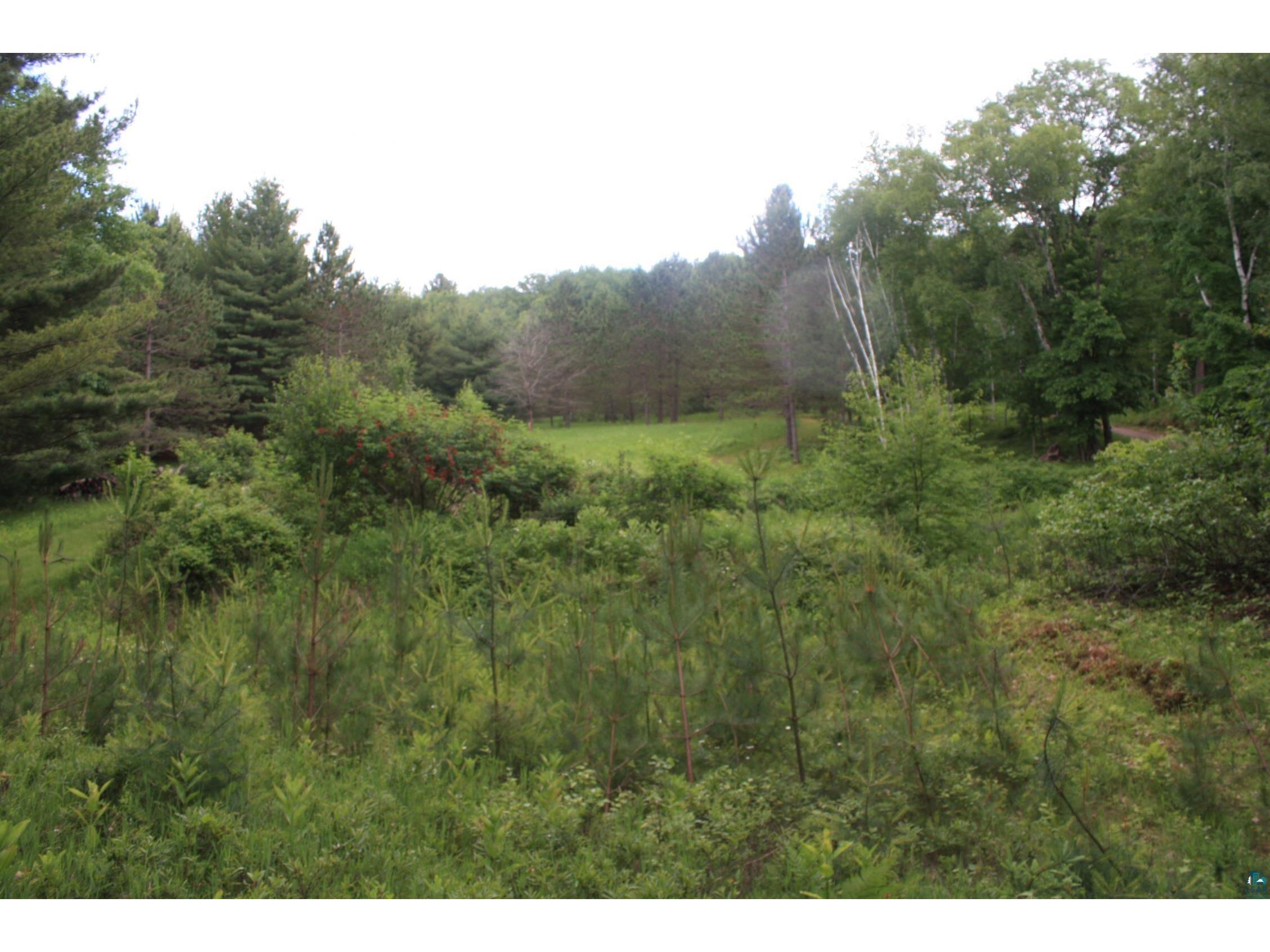 9305 Wildwood Campground Rd Iron River WI 54847 - Peterson 6126531 image95