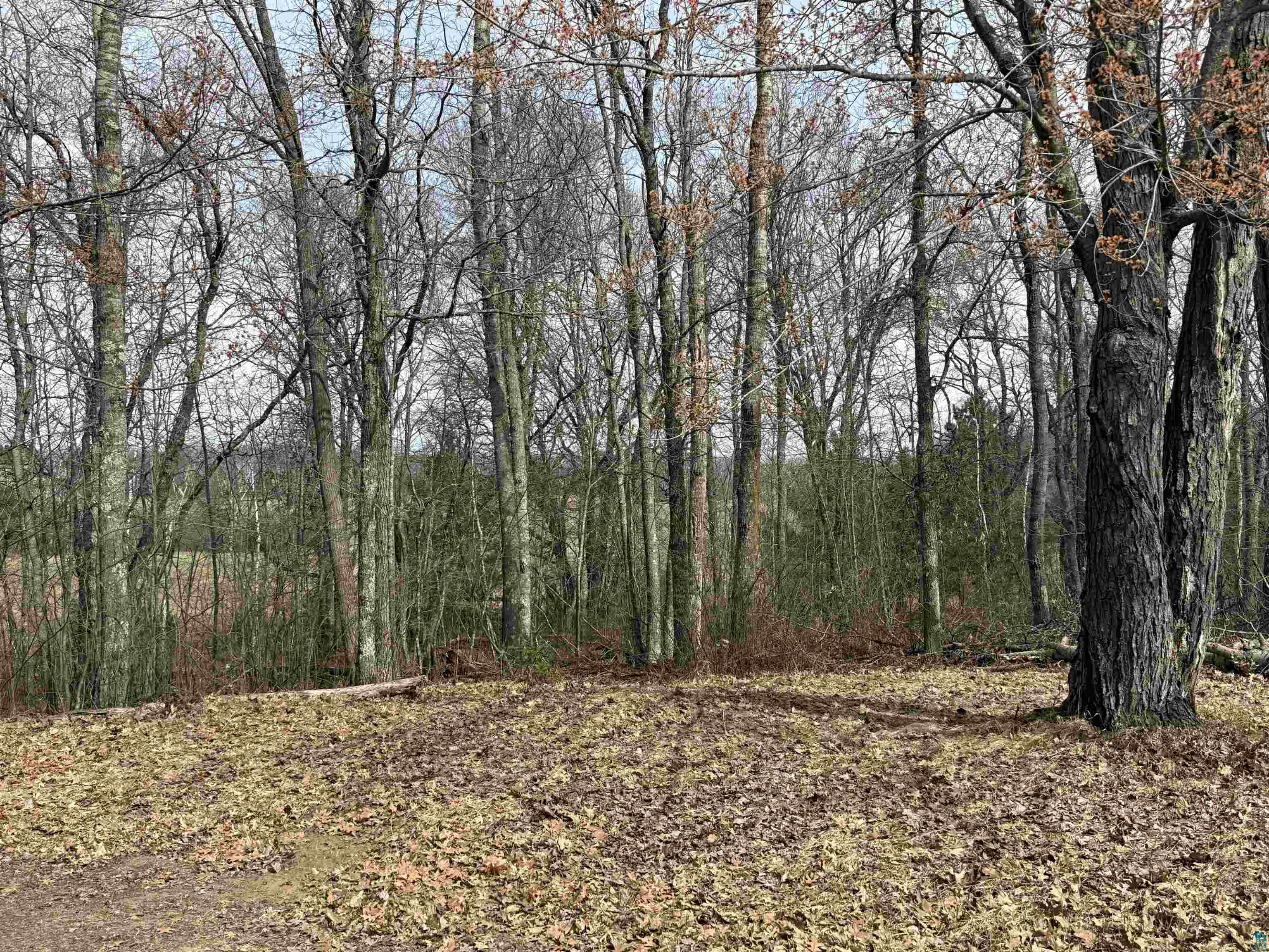 9410 Pine Lake Rd Iron River WI 54847 6123601 image31