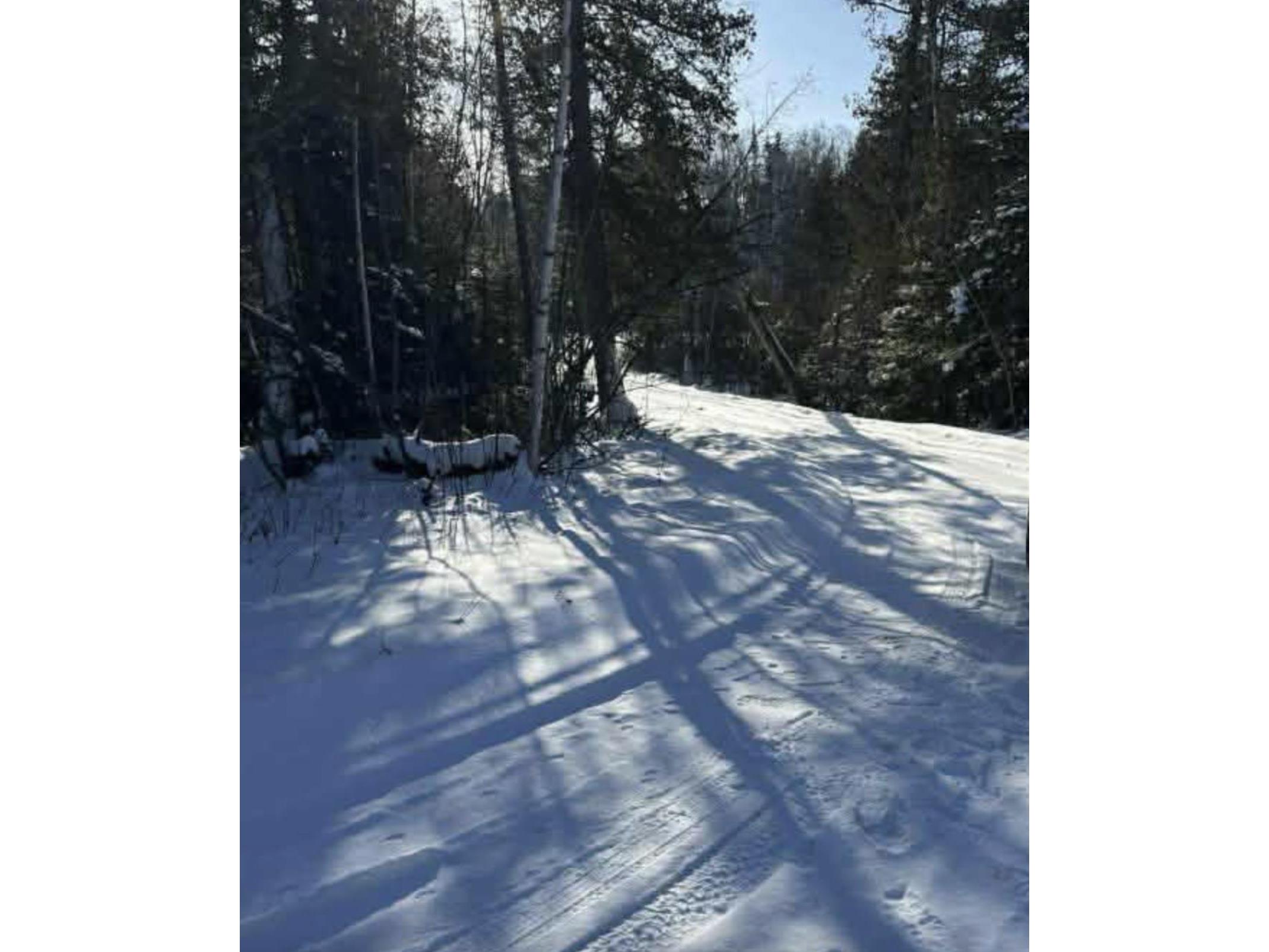 9426 Cramer Rd Finland MN 55603 - ArtLip 6123297 image3