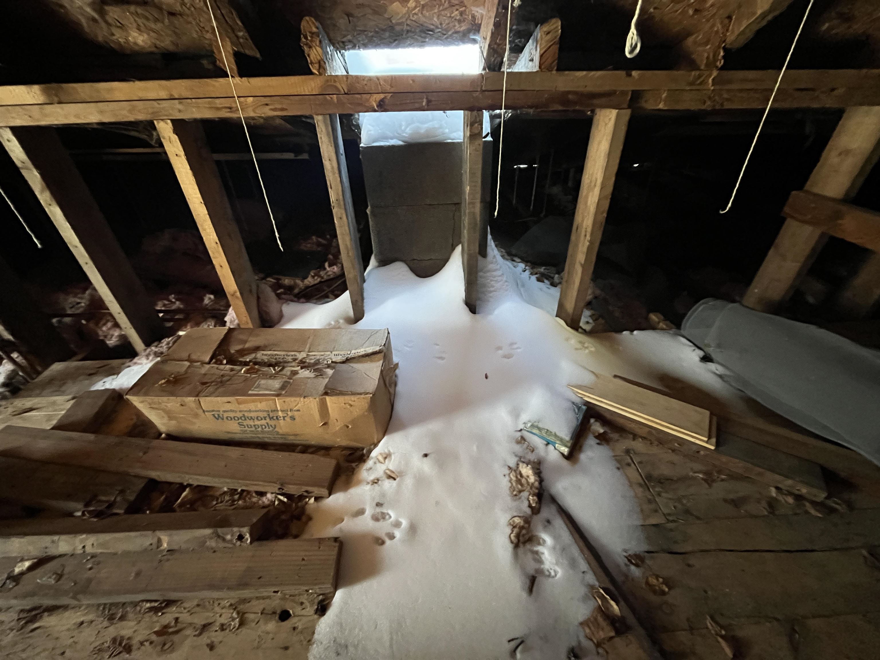 9426 Cramer Rd Finland MN 55603 - ArtLip 6123297 image7