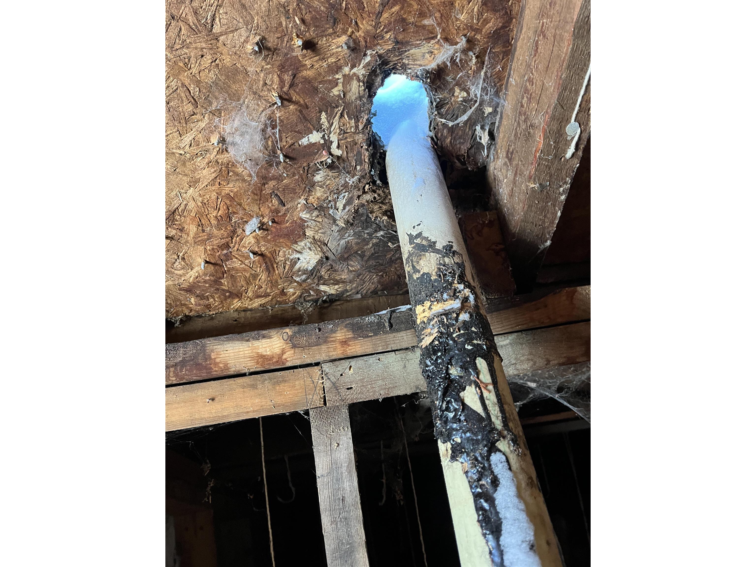 9426 Cramer Rd Finland MN 55603 - ArtLip 6123297 image9