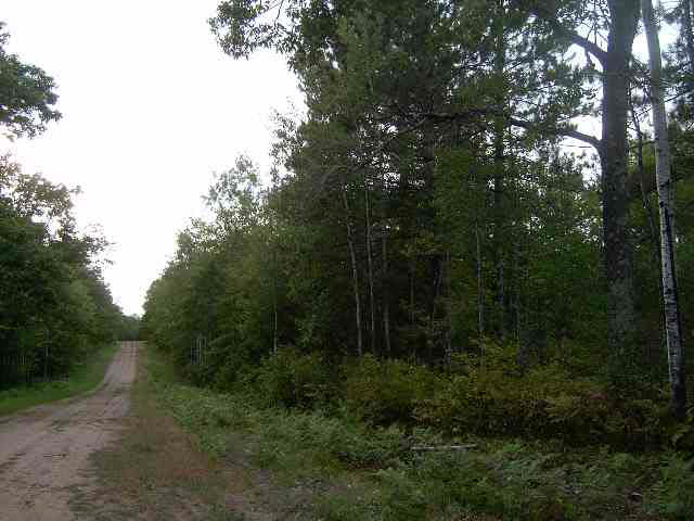 9501 E Kelly Rd Lake Nebagamon WI 54849 6063678 image2