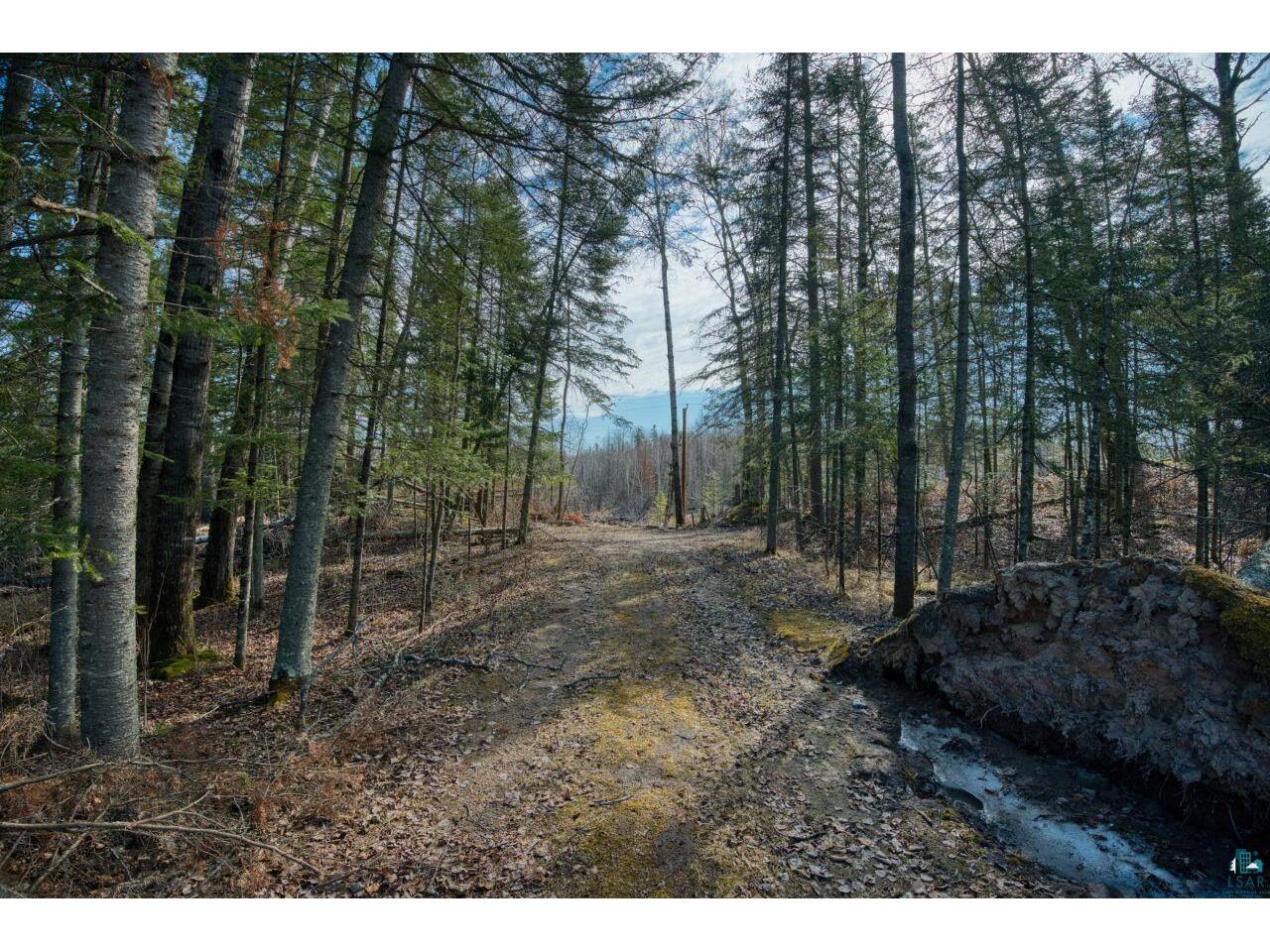 9572 Bonner Lake Rd Mountain Iron MN 55768 - Spirit Lake 6124468 image30