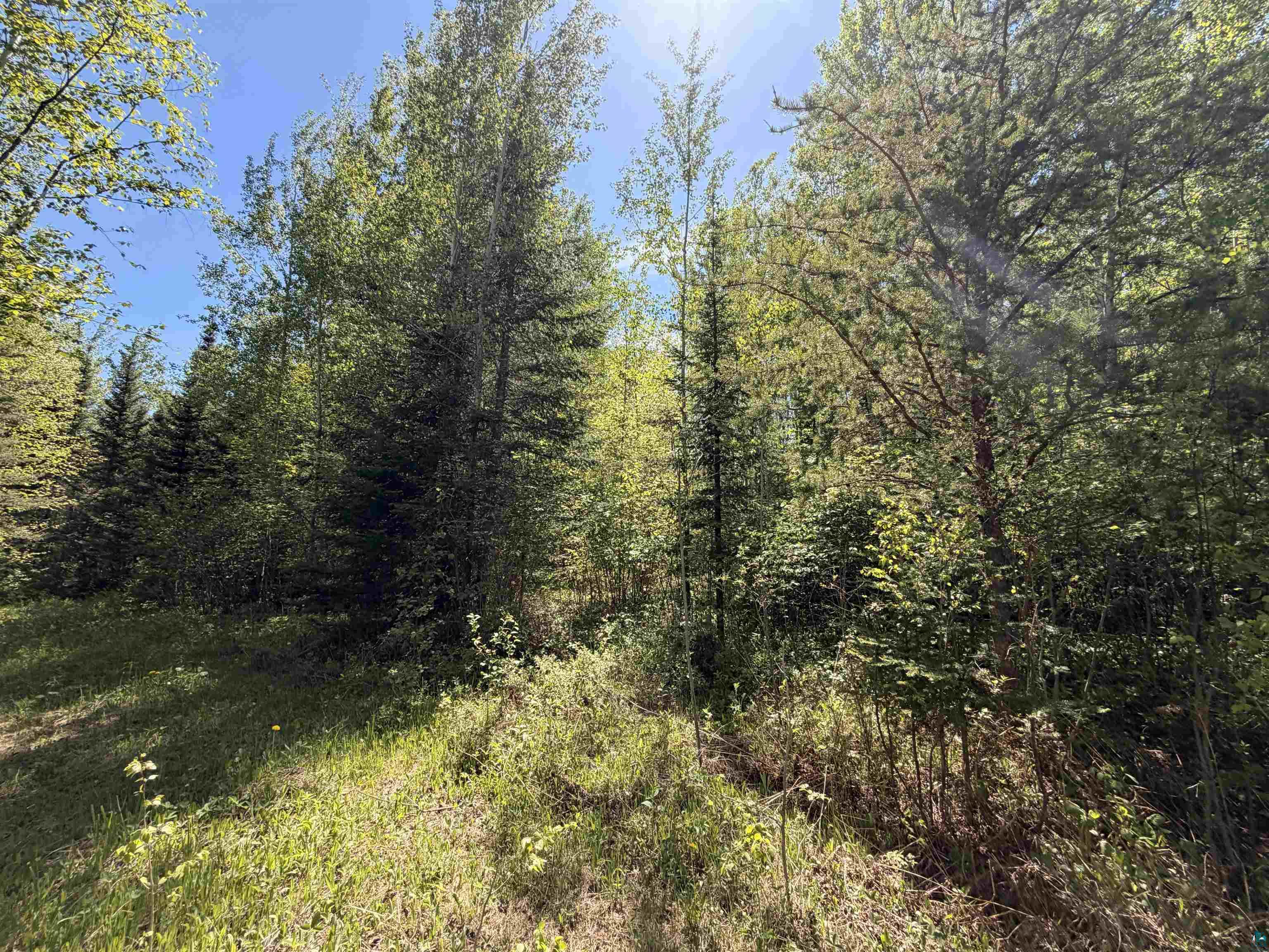 9685 Gunflint Tr Grand Marais MN 55604 6125791 image11