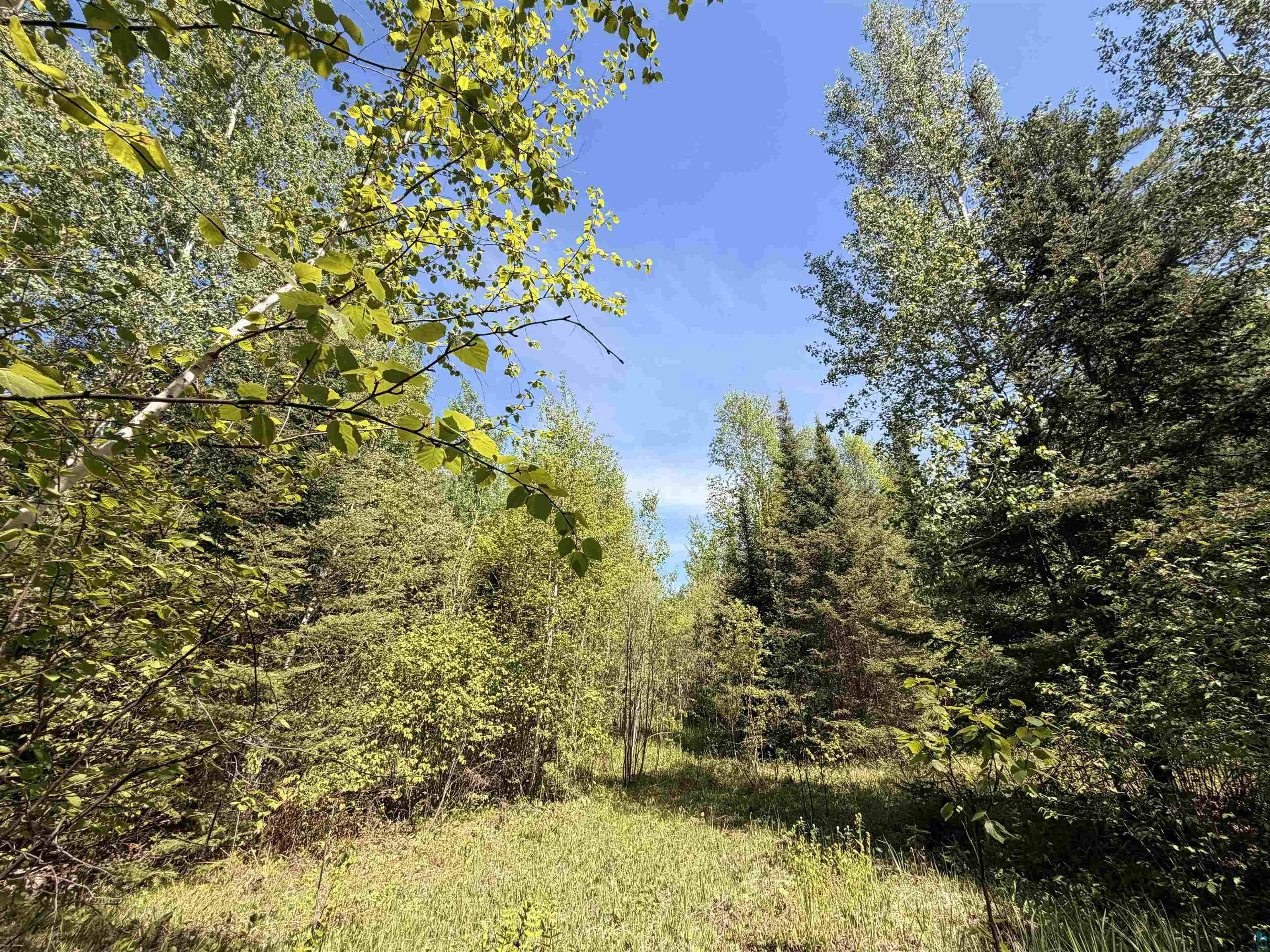 9685 Gunflint Tr Grand Marais MN 55604 6125791 image12