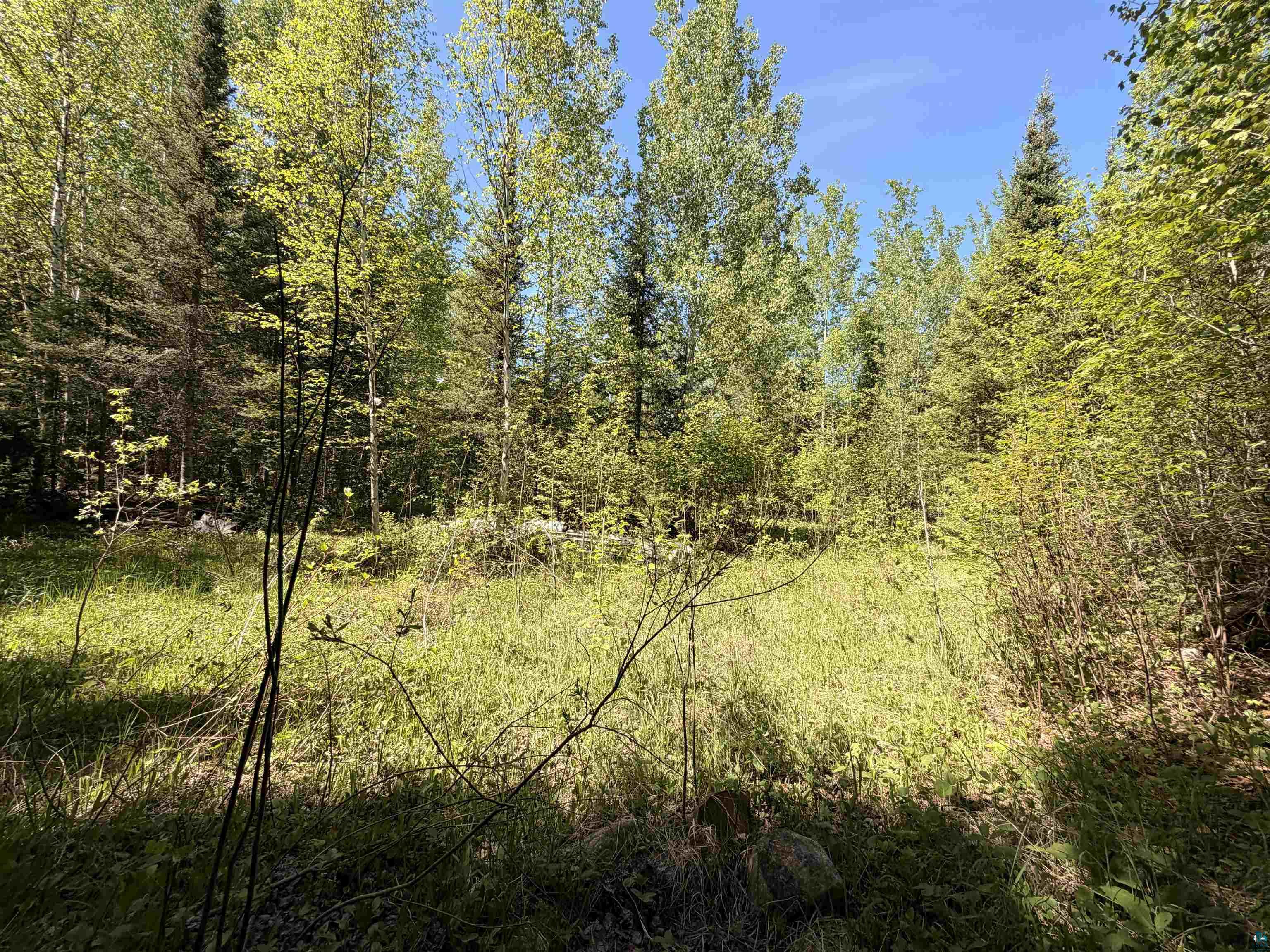 9685 Gunflint Tr Grand Marais MN 55604 6125791 image14