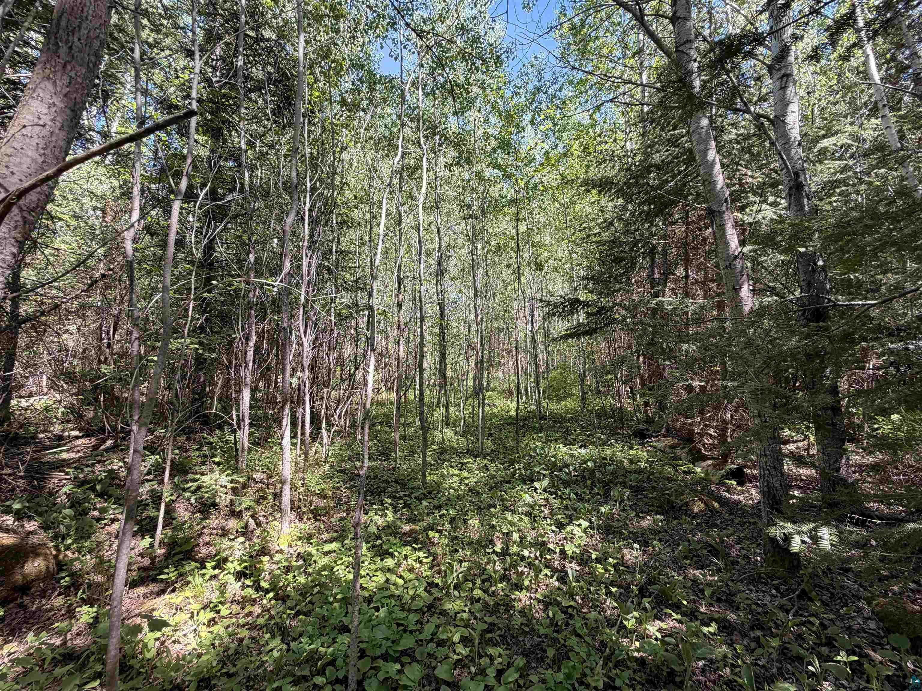 9685 Gunflint Tr Grand Marais MN 55604 6125791 image15