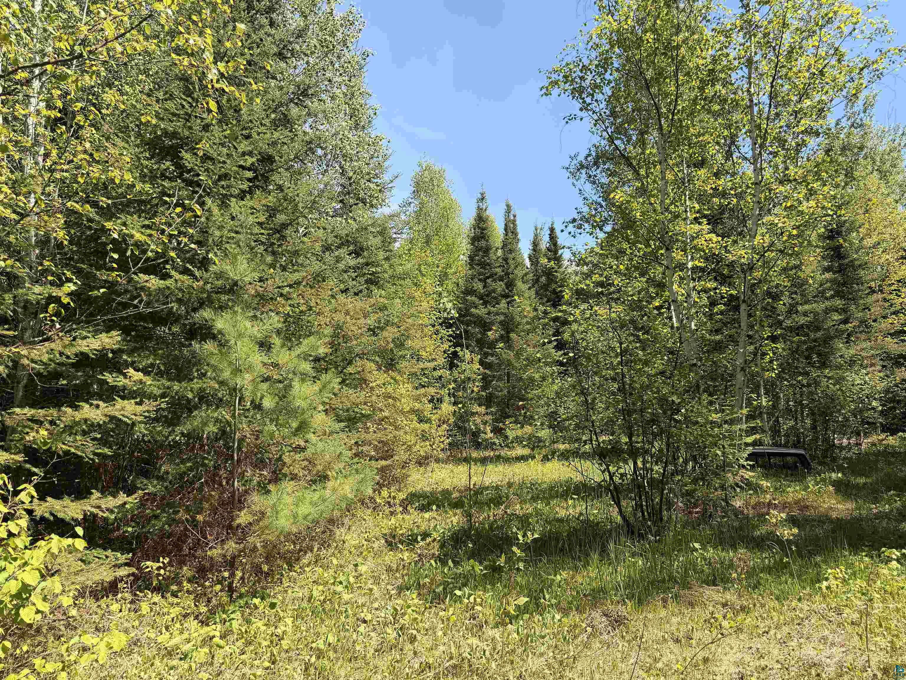 9685 Gunflint Tr Grand Marais MN 55604 6125791 image19