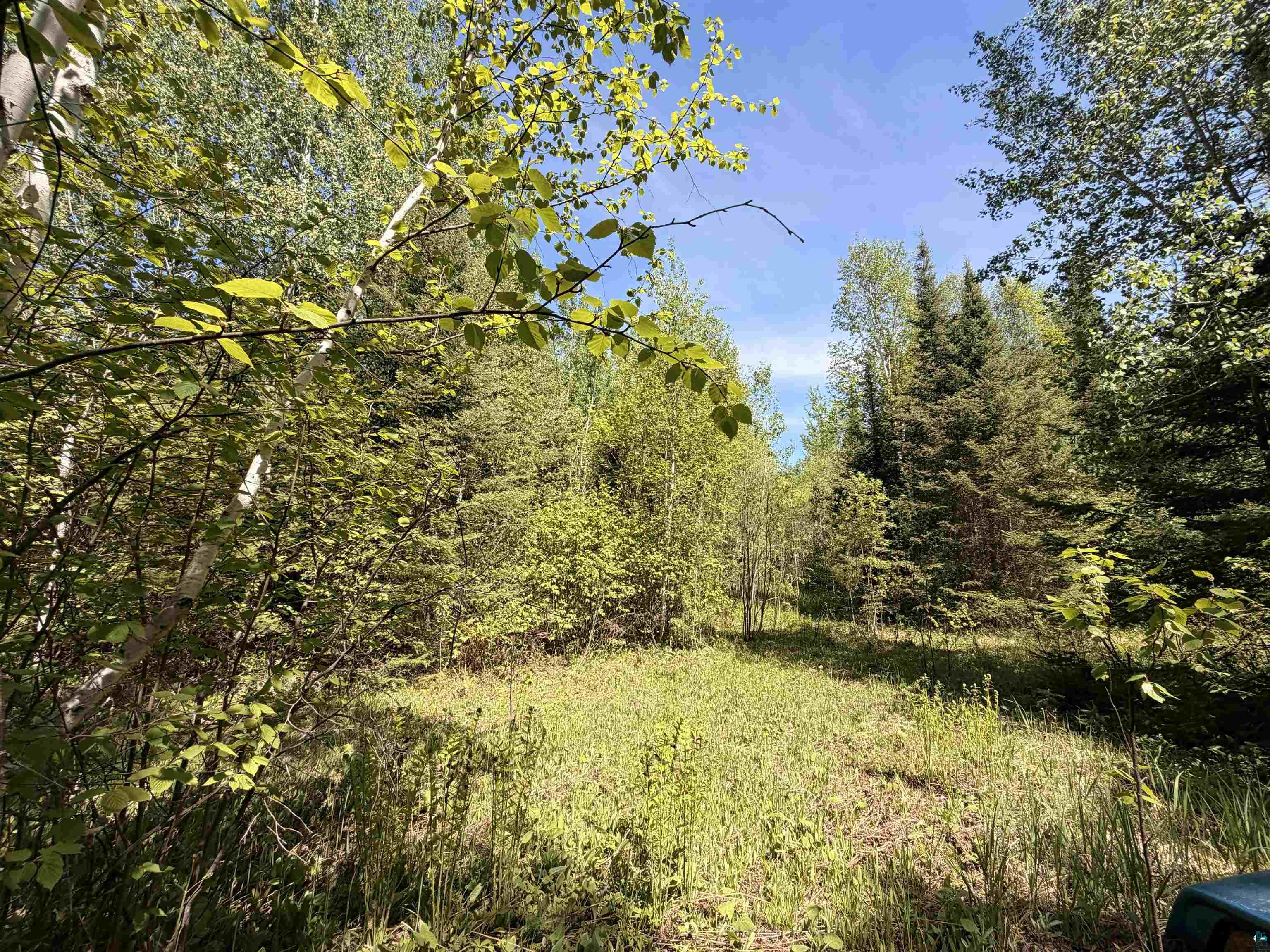 9685 Gunflint Tr Grand Marais MN 55604 6125791 image2
