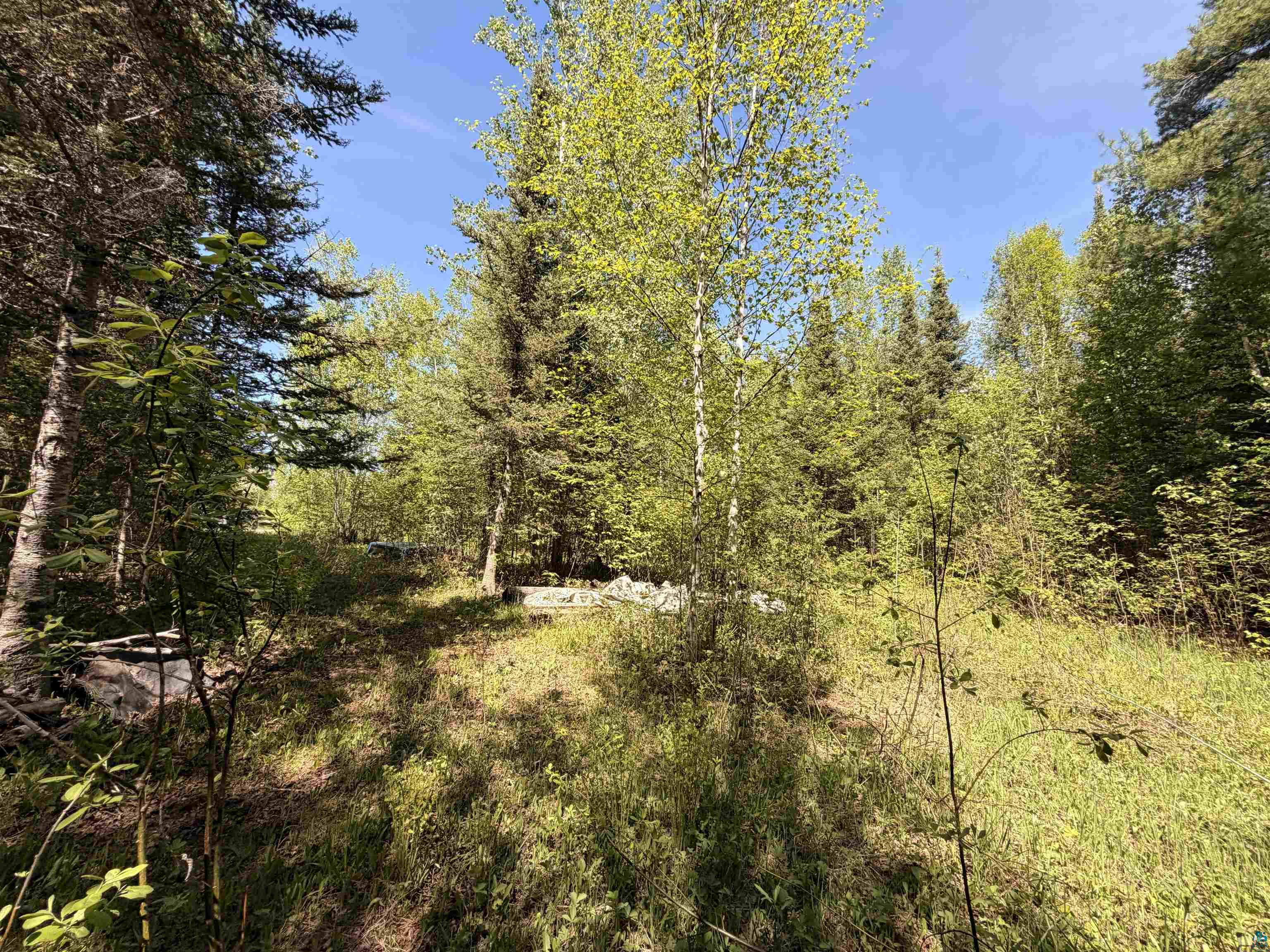9685 Gunflint Tr Grand Marais MN 55604 6125791 image4