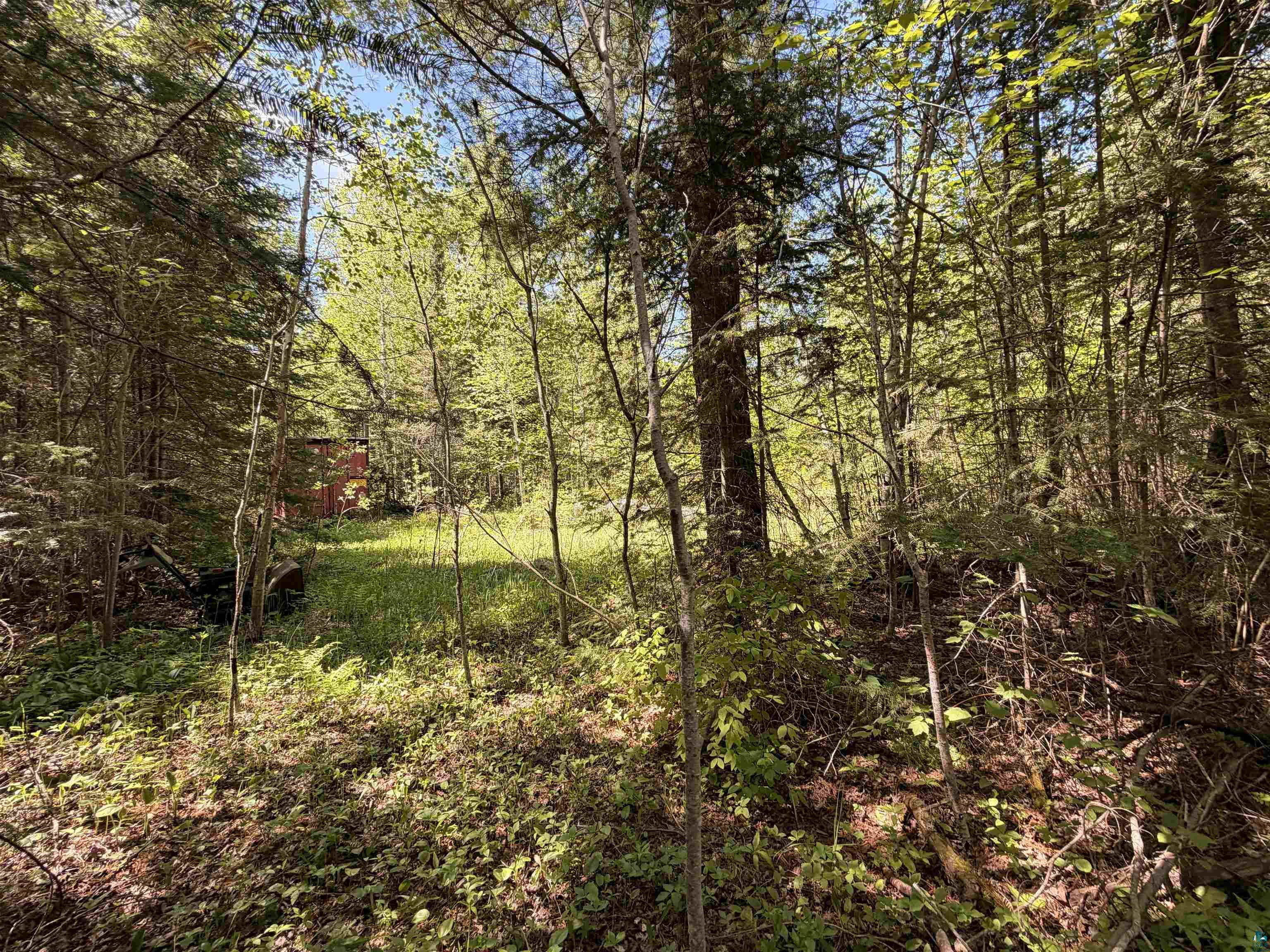 9685 Gunflint Tr Grand Marais MN 55604 6125791 image9