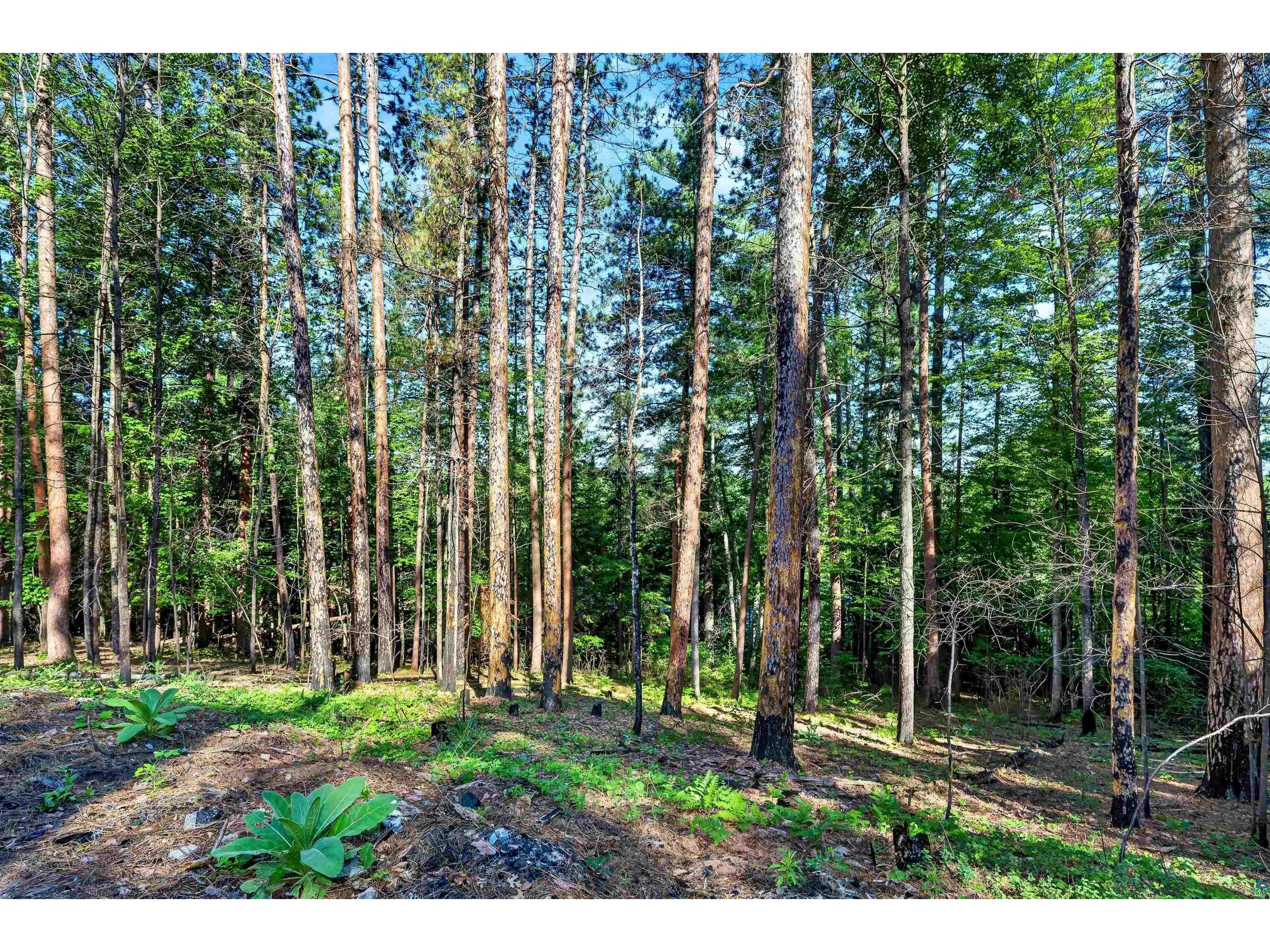9735 E Acorn Dr Gordon WI 54838 - St Croix Flowage 6125968 image24