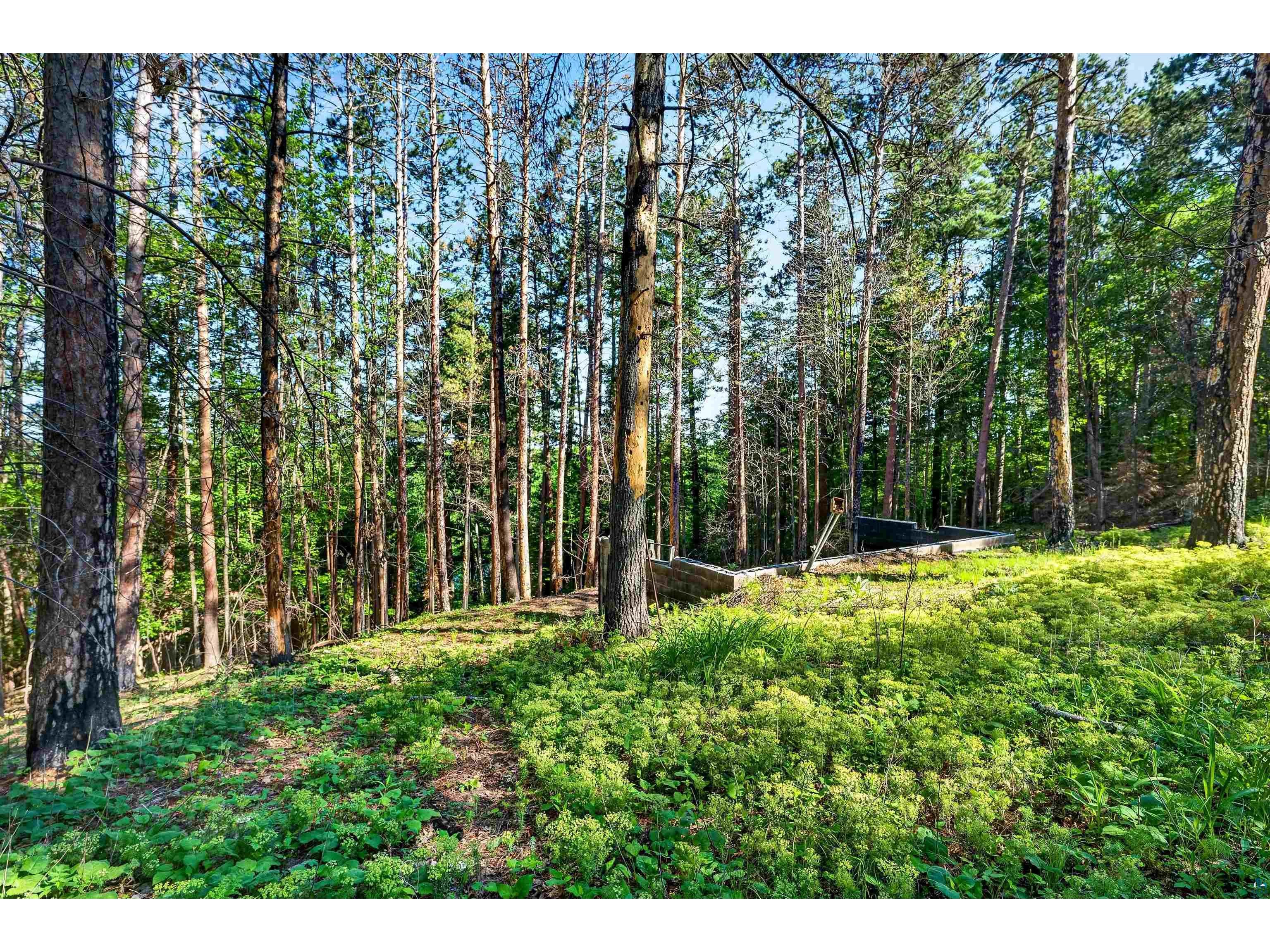 9735 E Acorn Dr Gordon WI 54838 - St Croix Flowage 6125968 image25