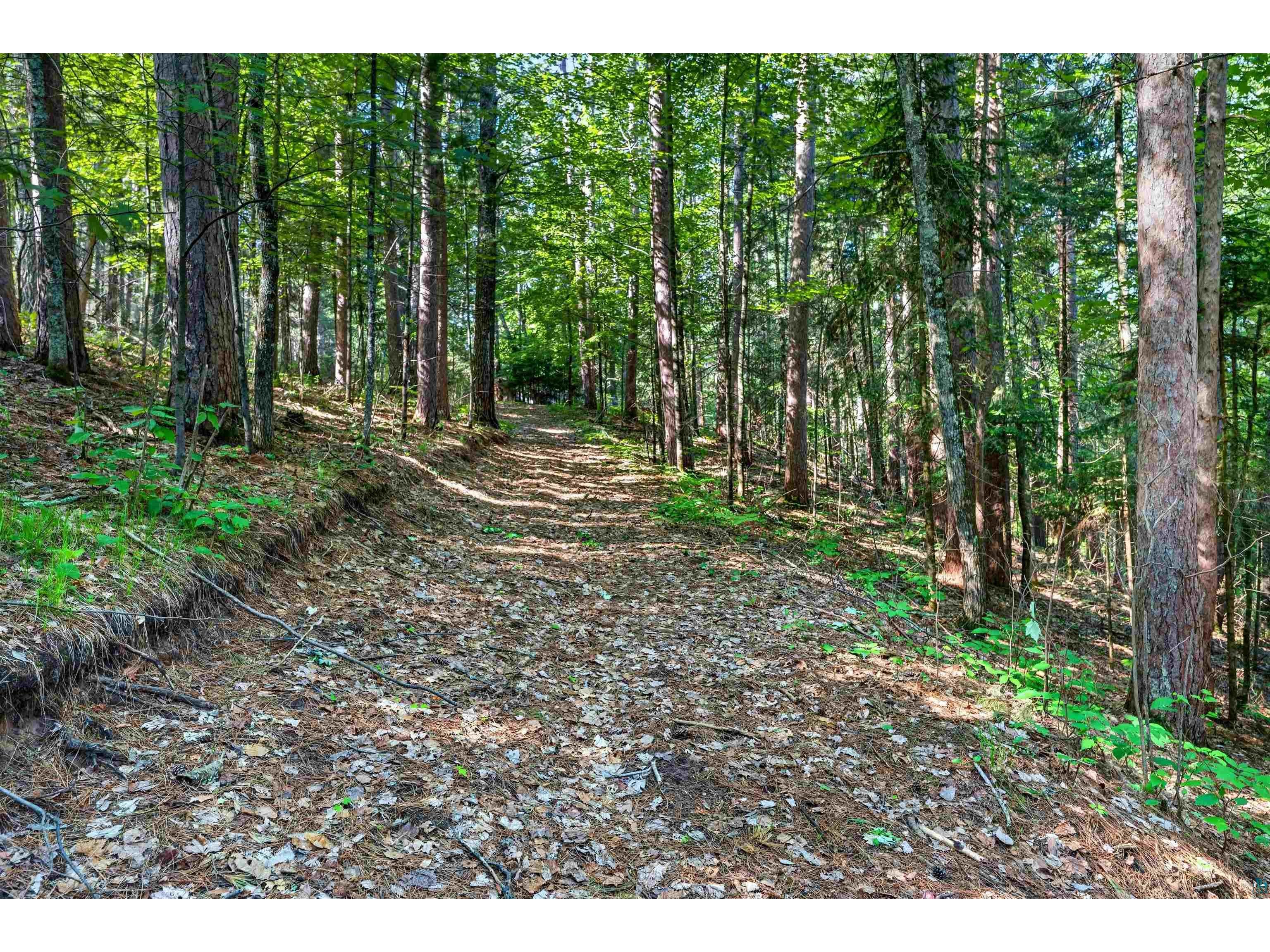 9735 E Acorn Dr Gordon WI 54838 - St Croix Flowage 6125968 image27