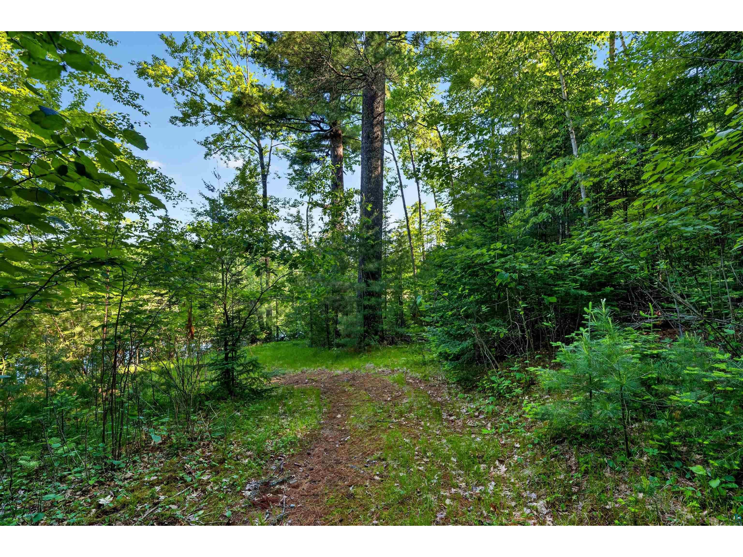 9735 E Acorn Dr Gordon WI 54838 - St Croix Flowage 6125968 image28