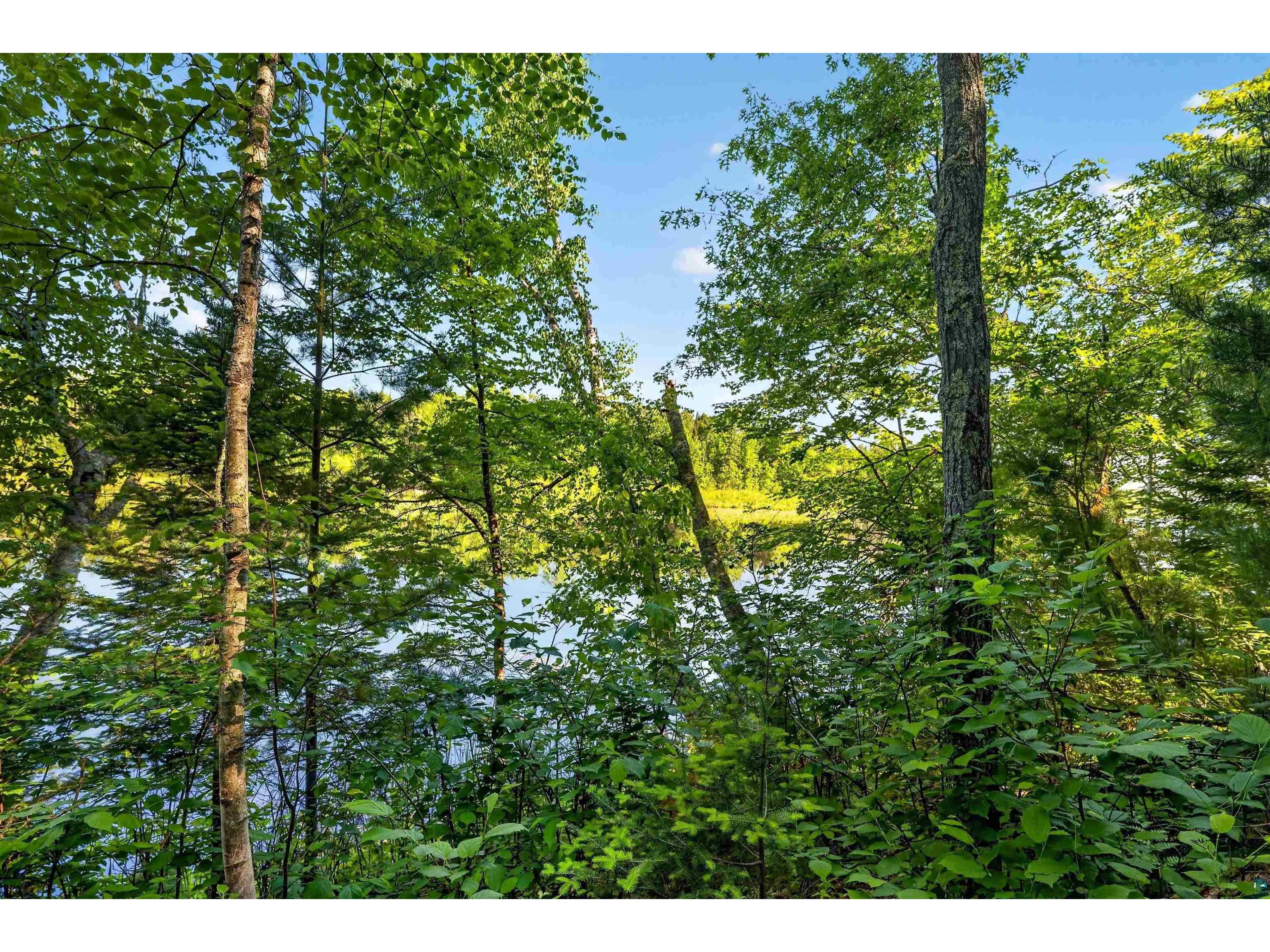 9735 E Acorn Dr Gordon WI 54838 - St Croix Flowage 6125968 image31