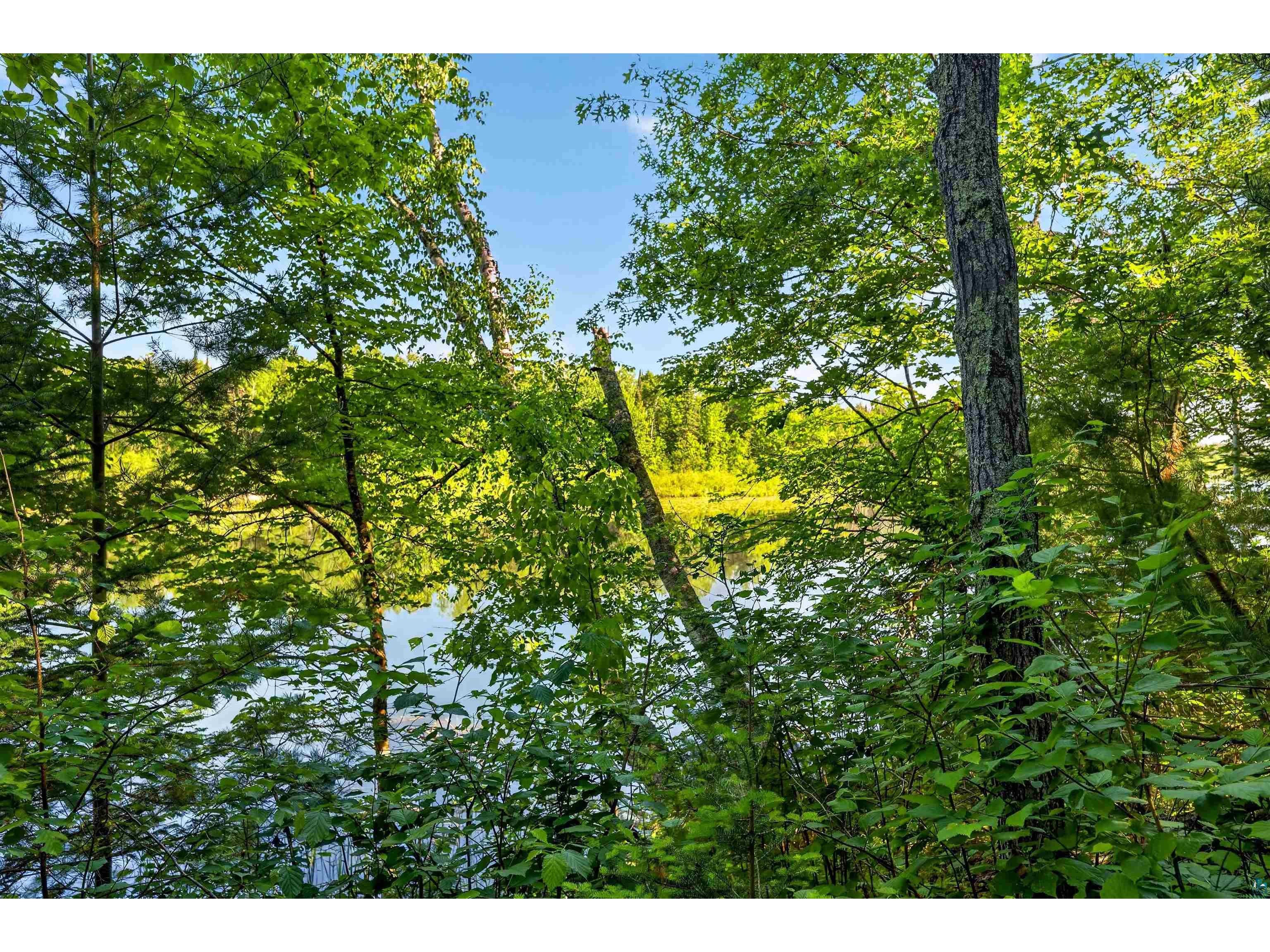 9735 E Acorn Dr Gordon WI 54838 - St Croix Flowage 6125968 image32