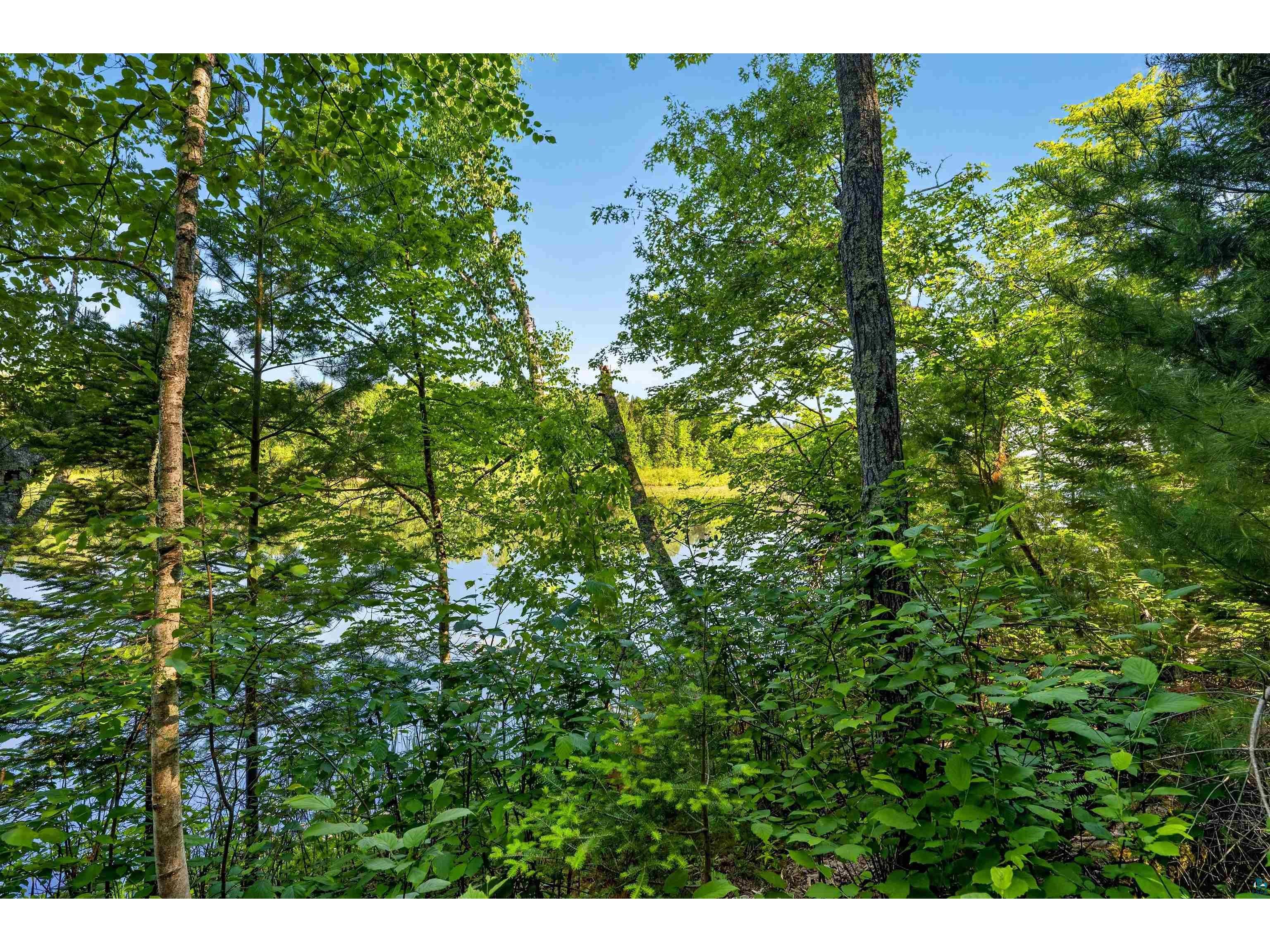 9735 E Acorn Dr Gordon WI 54838 - St Croix Flowage 6125968 image33