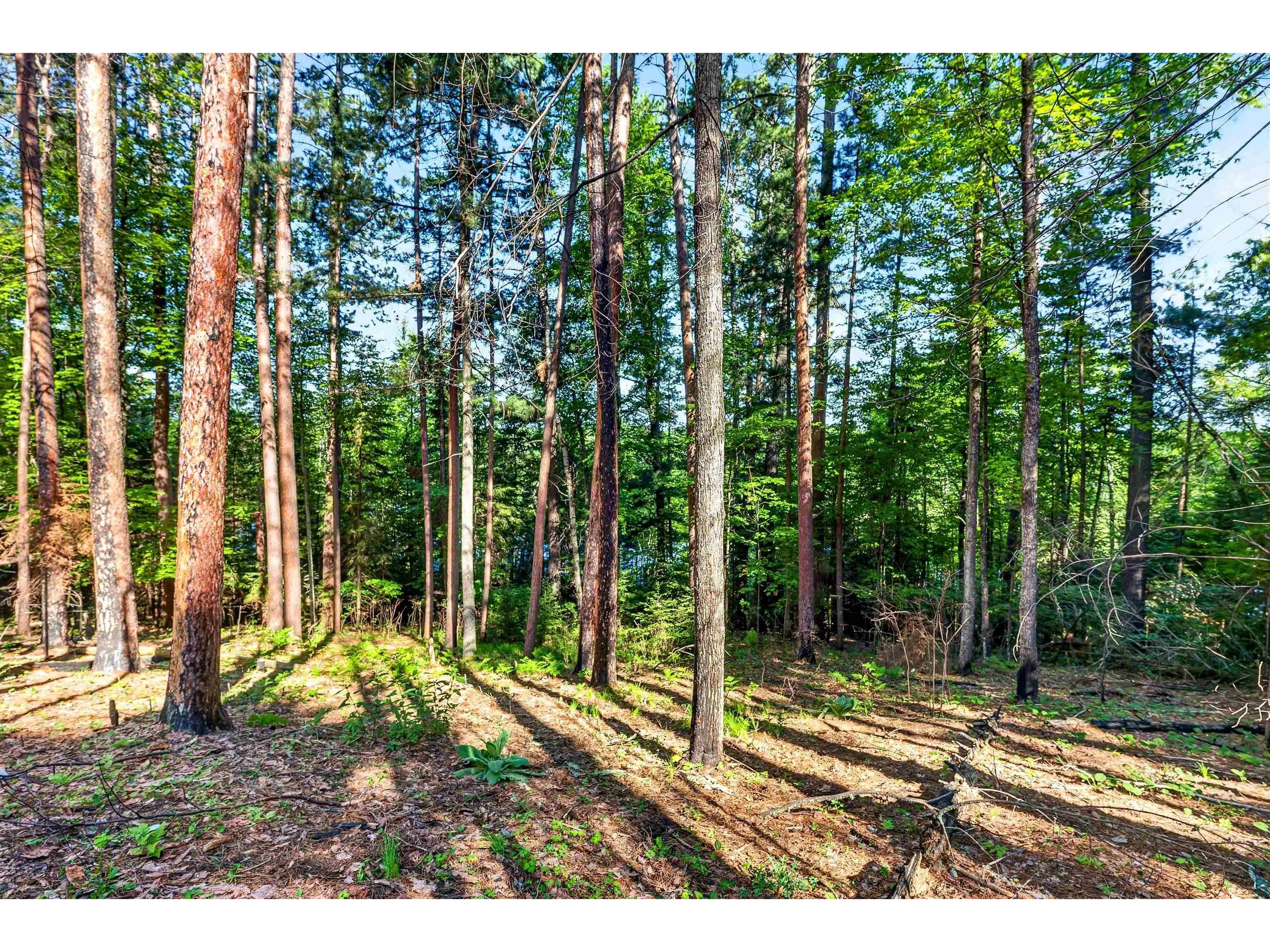 9735 E Acorn Dr Gordon WI 54838 - St Croix Flowage 6125968 image4